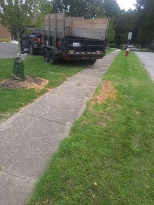 Tree Removal using Tree Removal