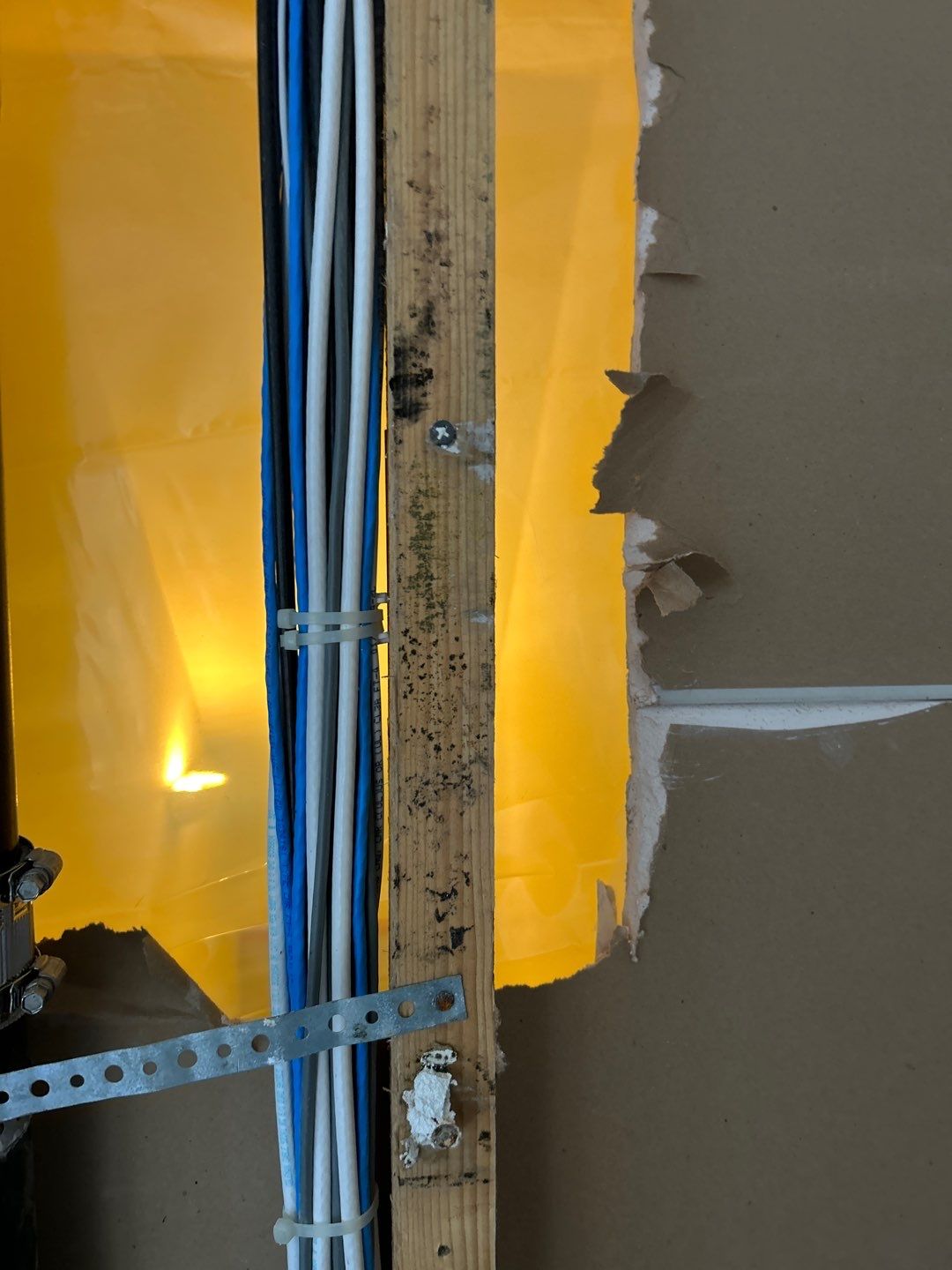 Mold Remediation by Accountable Home Services