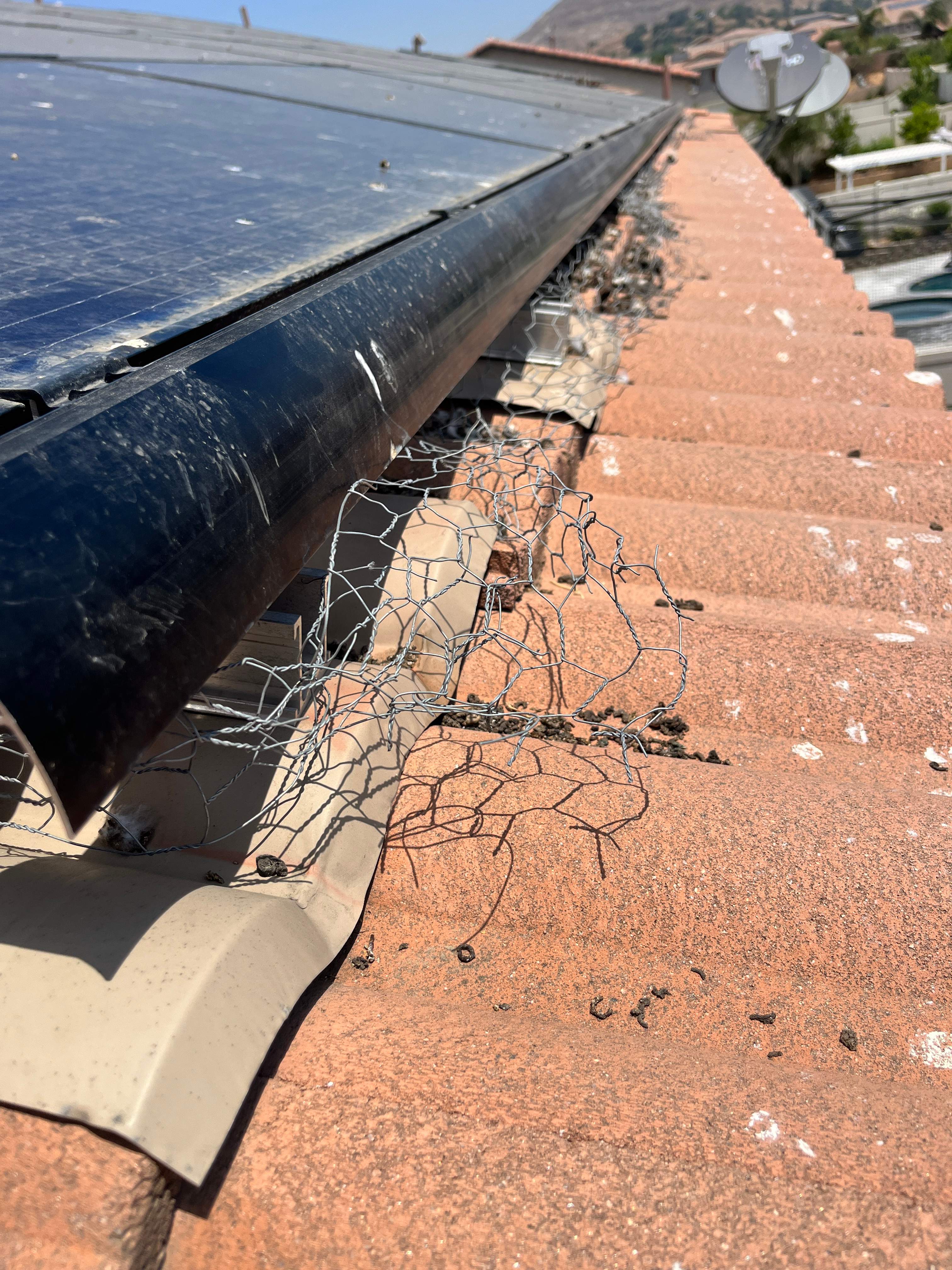 Failed Bird Proofing Installations by Palm Coast Solar Cleaning