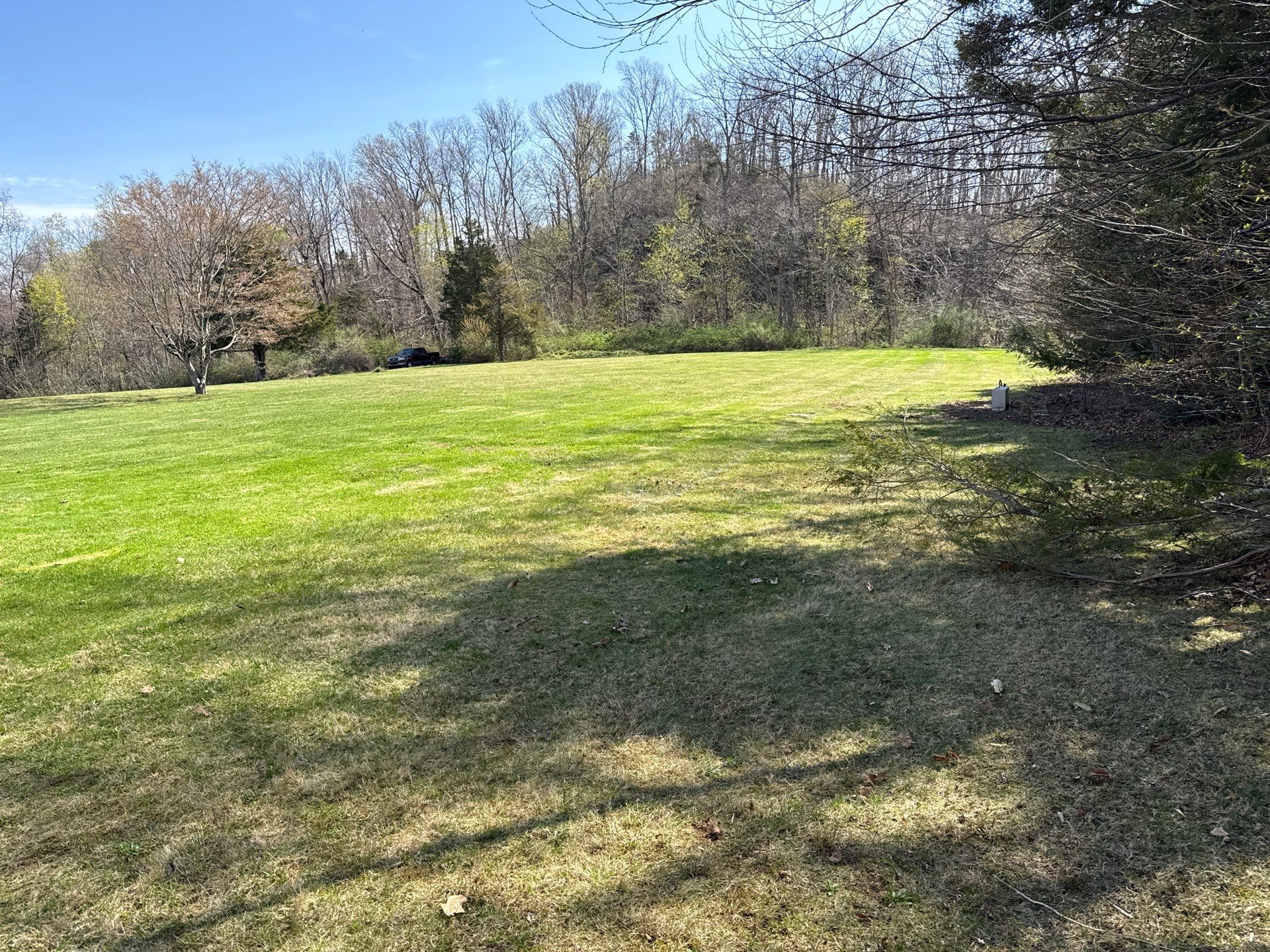 Residential Spring Cleanup and Lawn Mowing in East Haven by Diamond Image LLC
