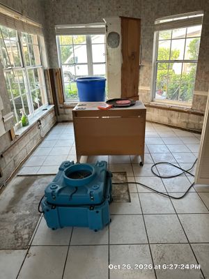 Mold Remediation — Bonita Springs, FL