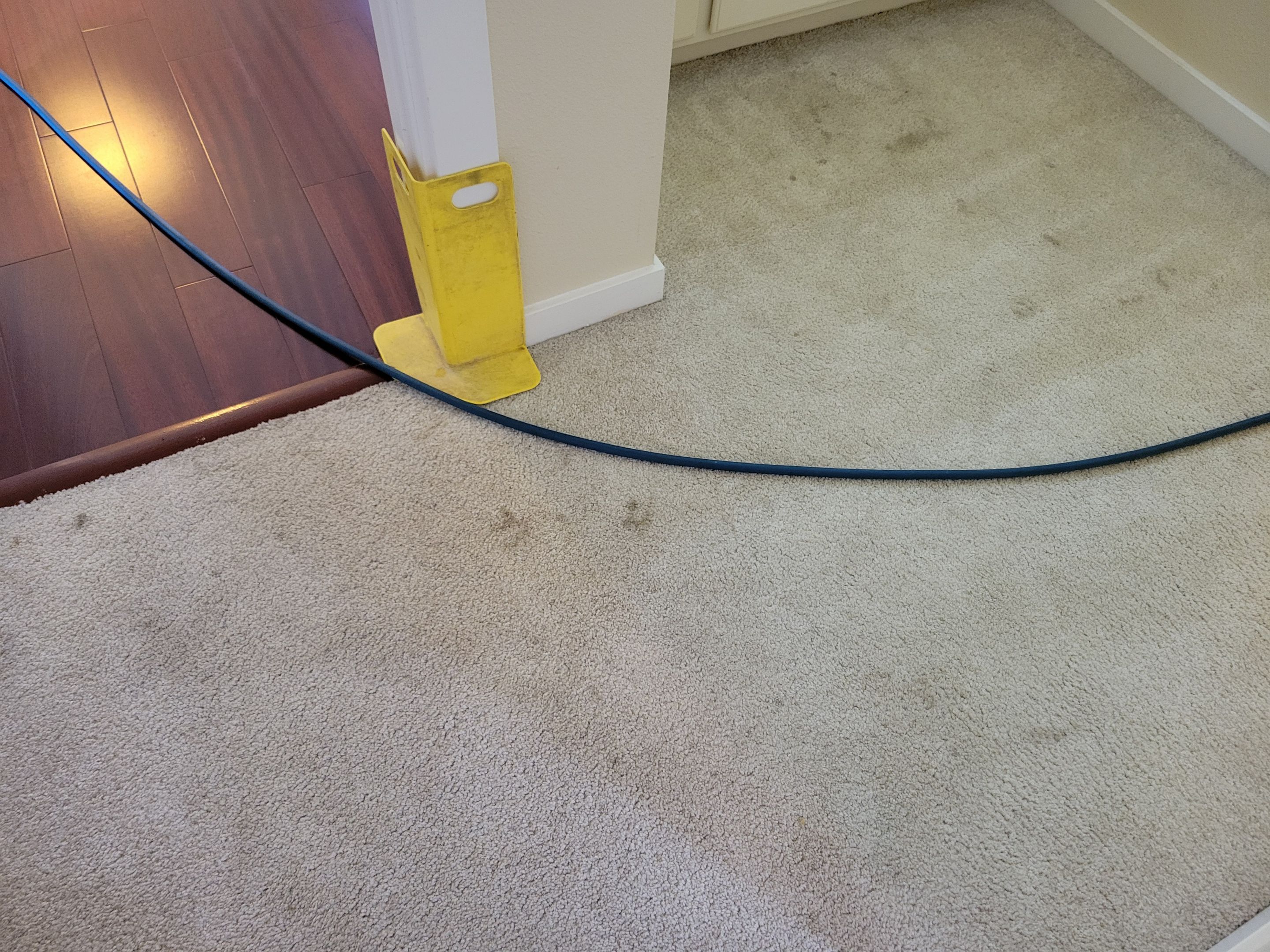 Investment Property, Carpet Cleaning by Ardent Carpet Restore LLC