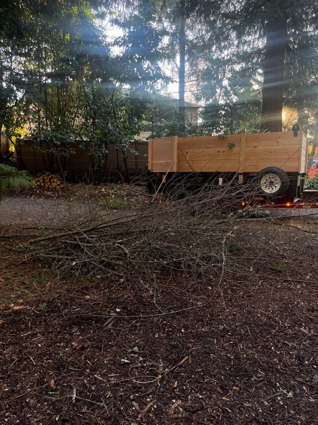 Tree Removal using Tree Removal by Mike Jones & Sons Tree Service LLC 