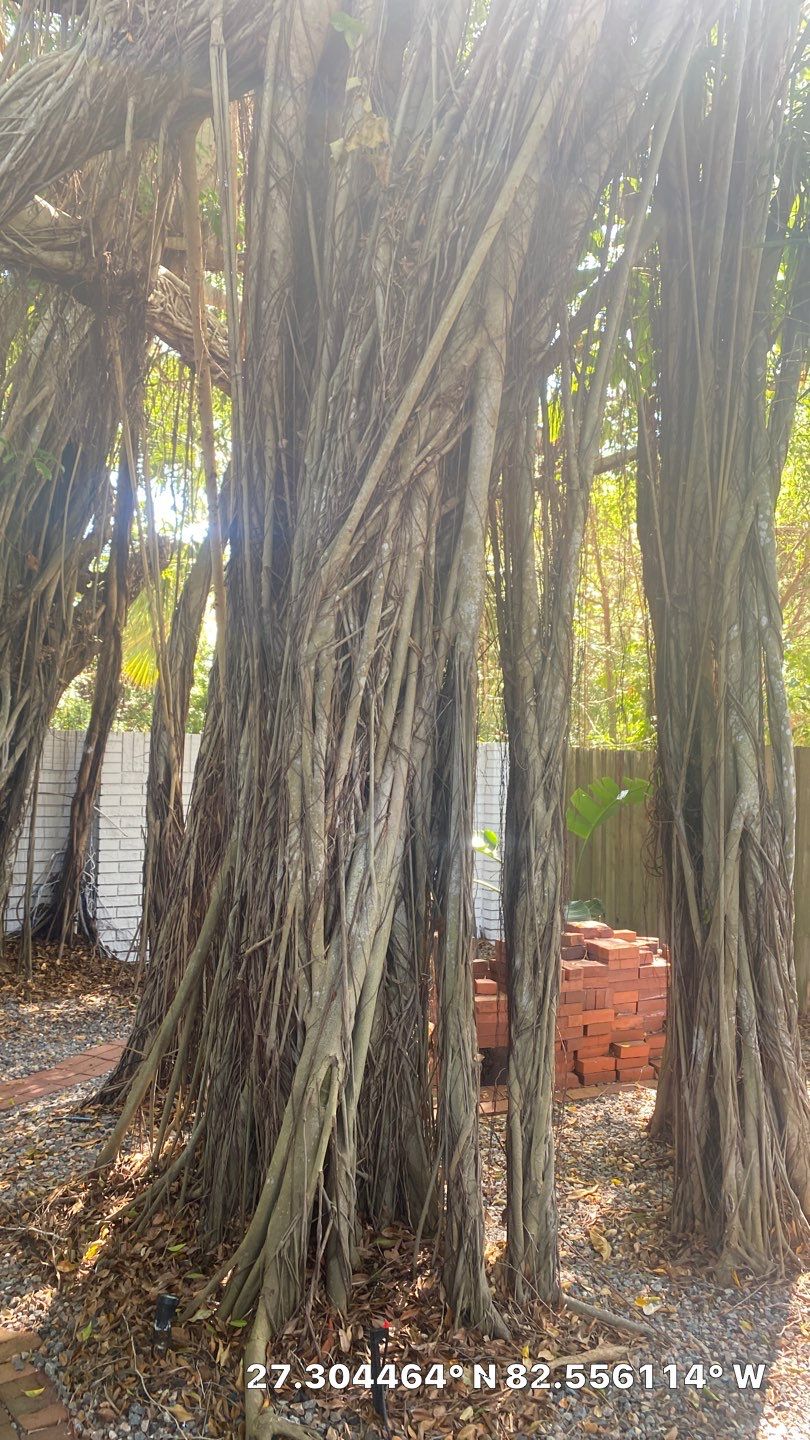 Sarasota, FL 4ft. Tall Black 3-Rail Aluminum Fence by Asap fence and gates, LLC