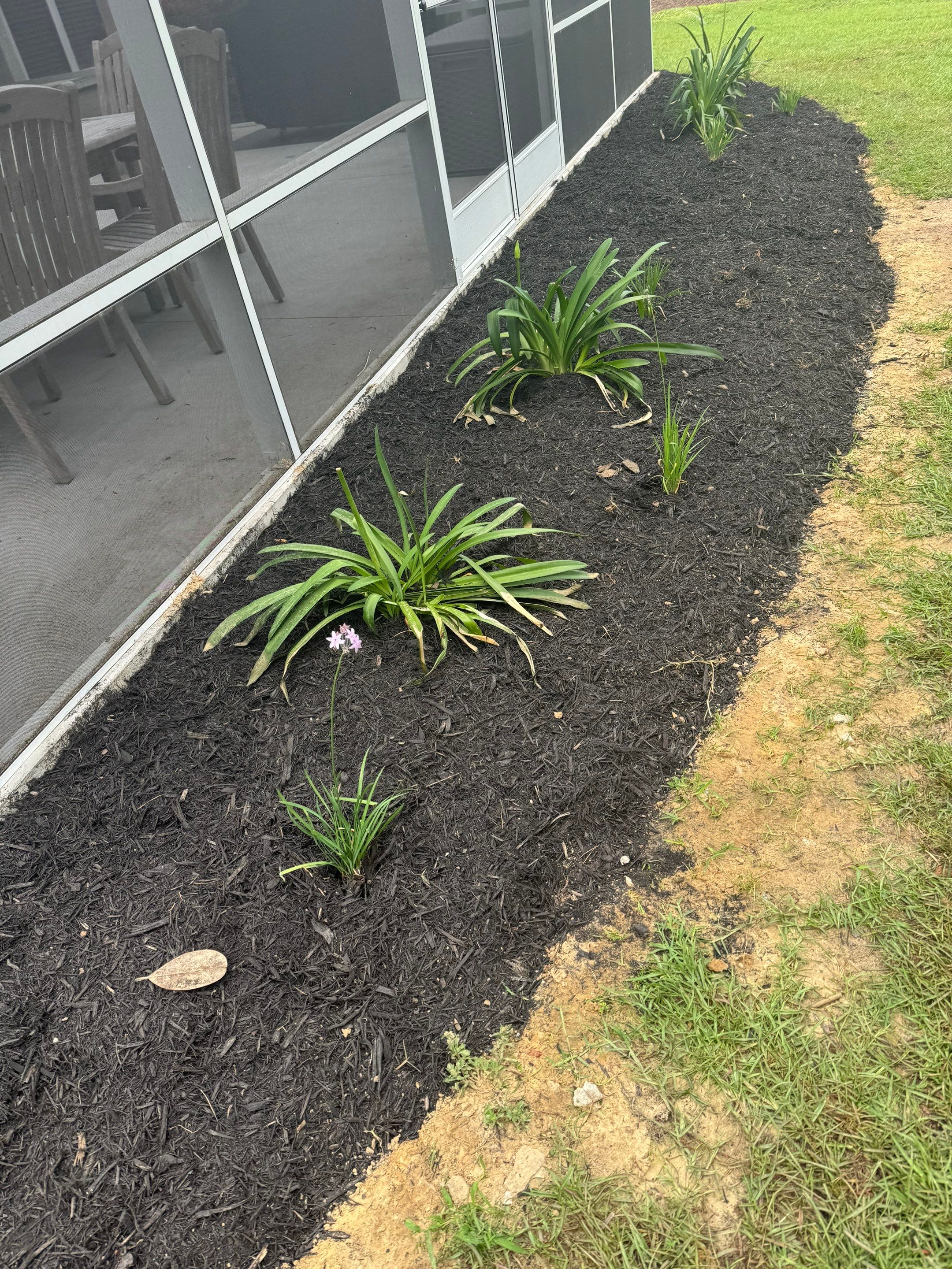 Residential Landscape Refresh and Full Mulch Installation by Lowcountry Scapes, LLC