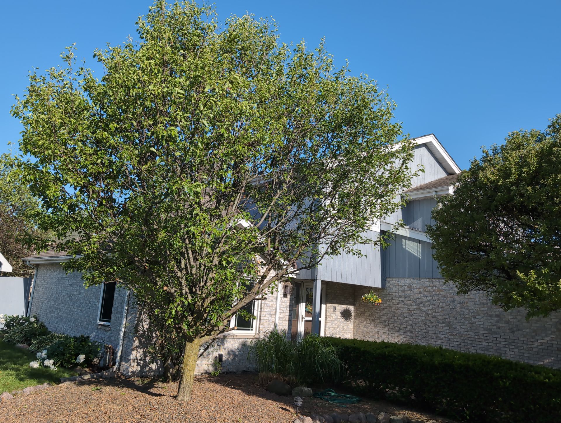 Project in Orland Park by AJ Exteriors & Roofing Inc.