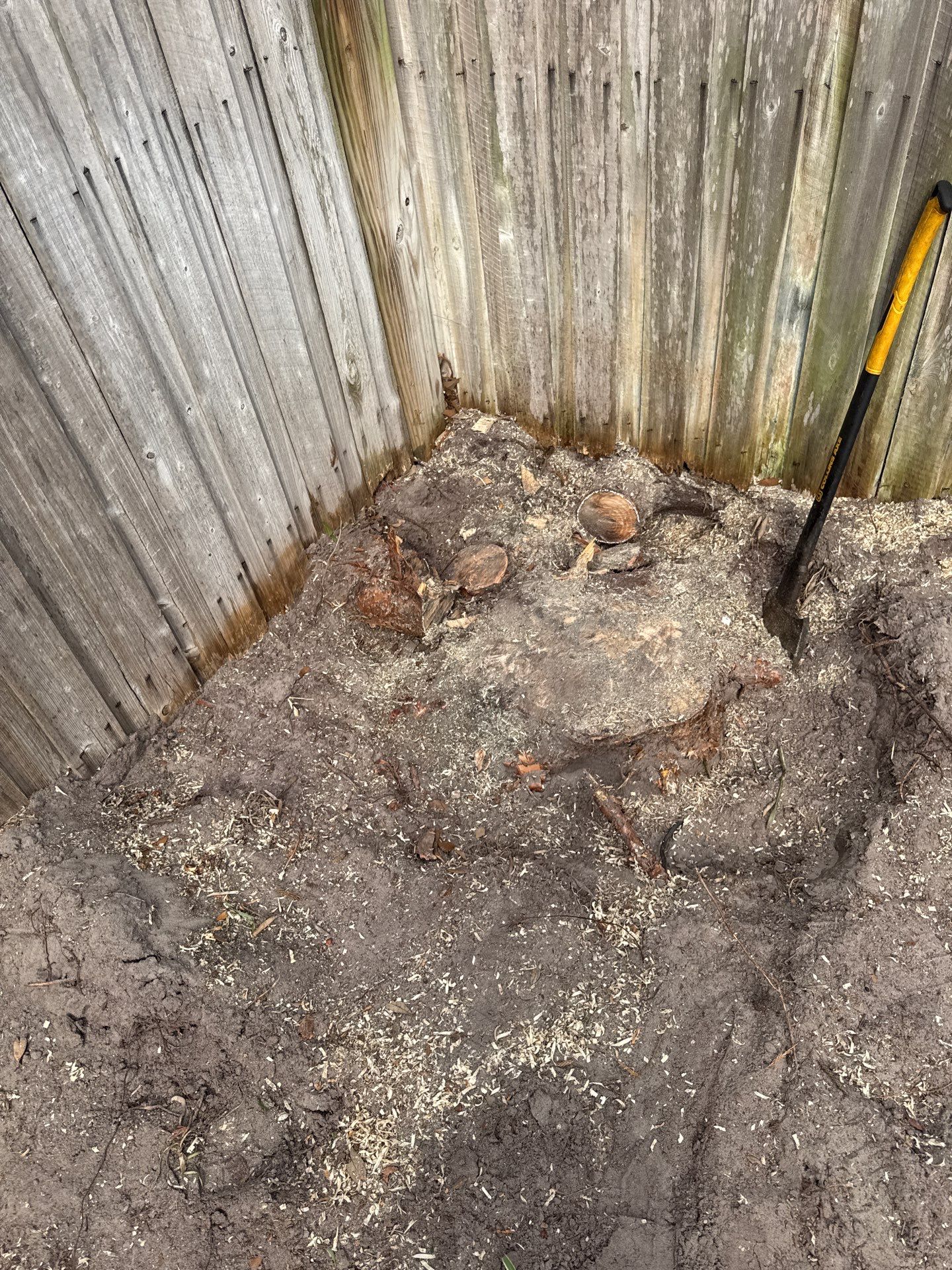 Residential | Clean-Up & Mulch Install by ProGreen Services