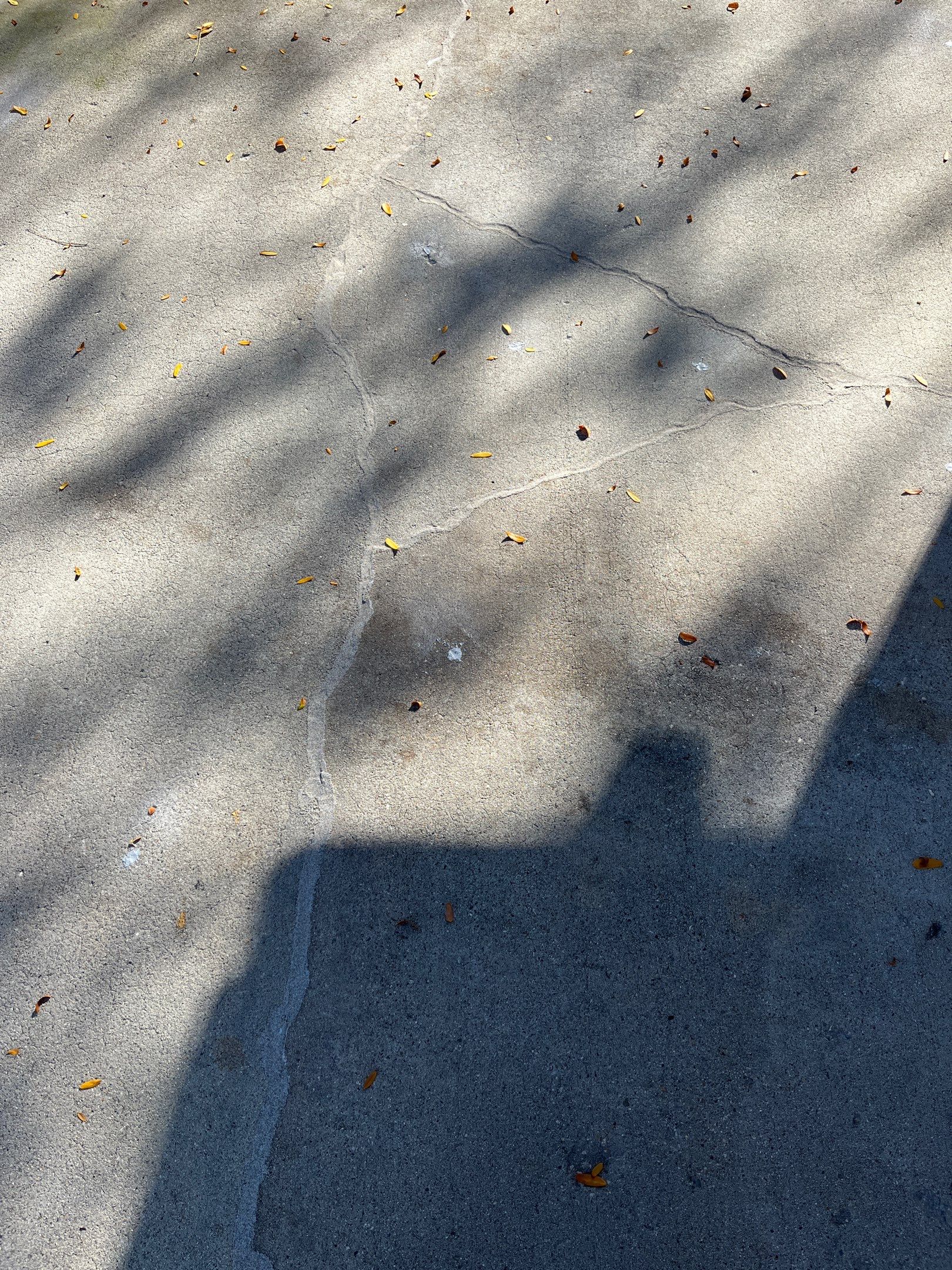 Driveway Crack Repair for Michelle by Mr. Mudd Concrete