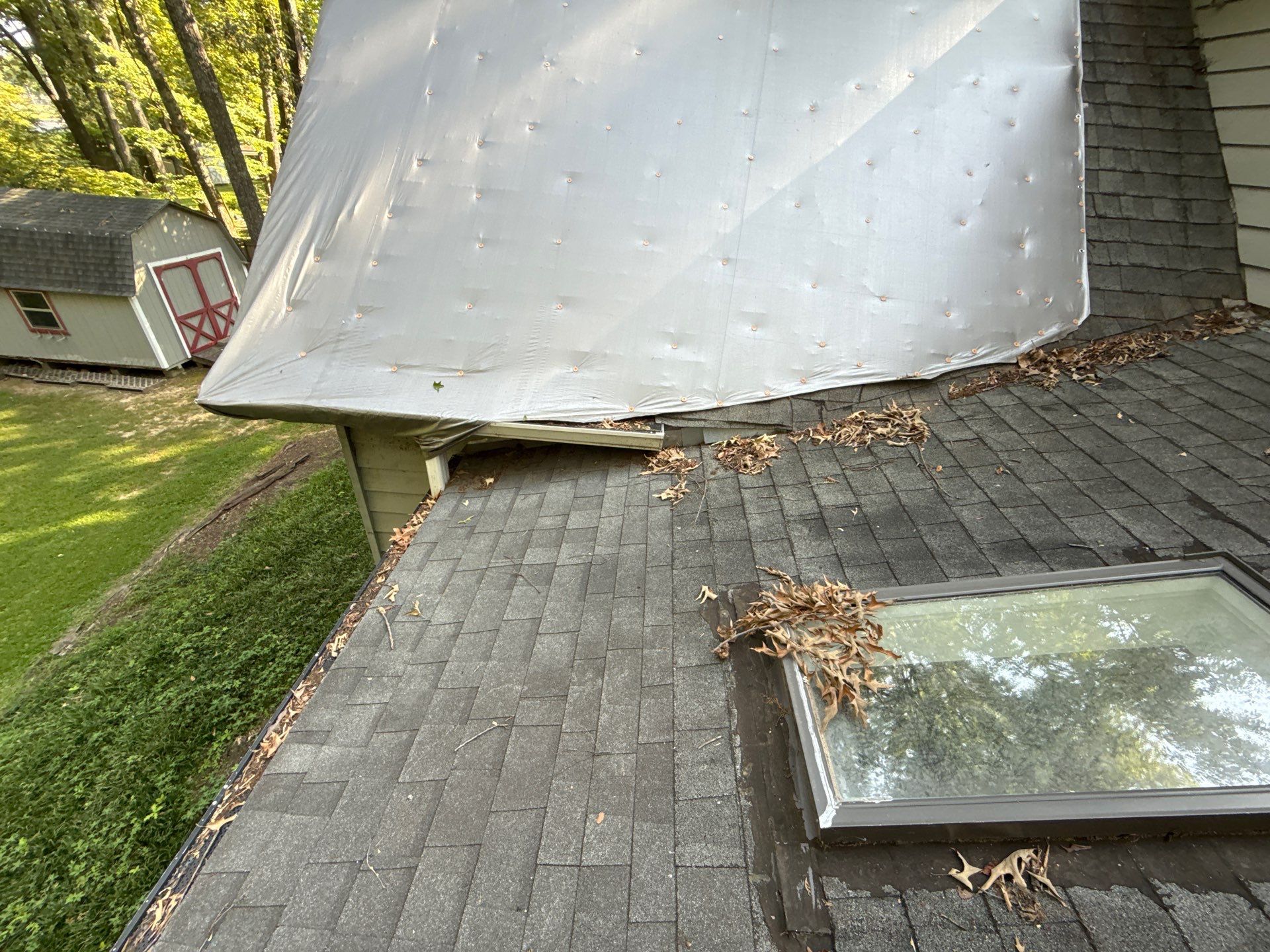 Collierville Roof Replacement Following Major Tree Impact Damage with interior repairs by Revival Roofing Services