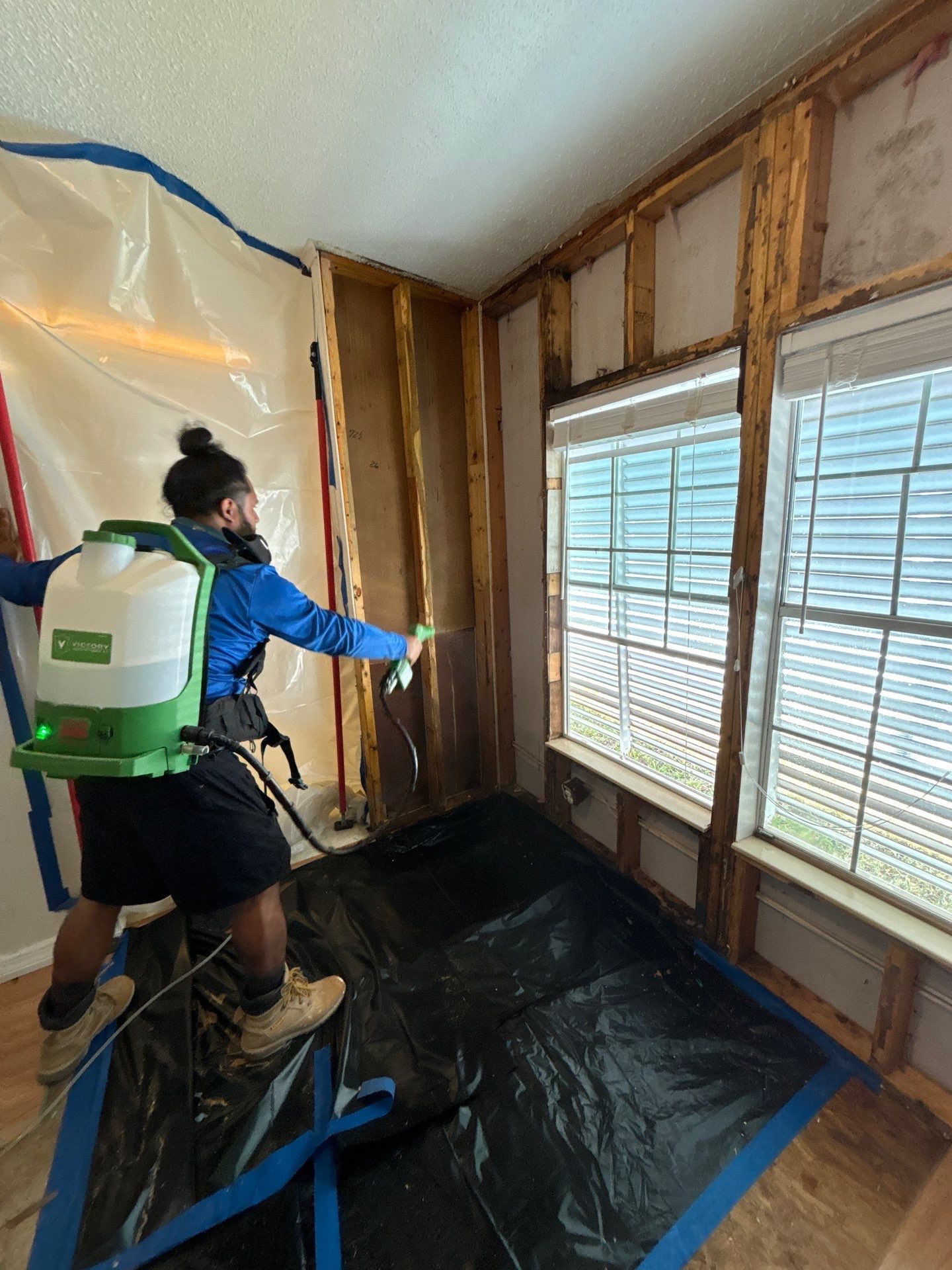 Mold Remediation Palmetto by Ampm Restoration Services 