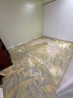 Commercial Office Interior Drywall Preparation and Shelving Installation in Easley