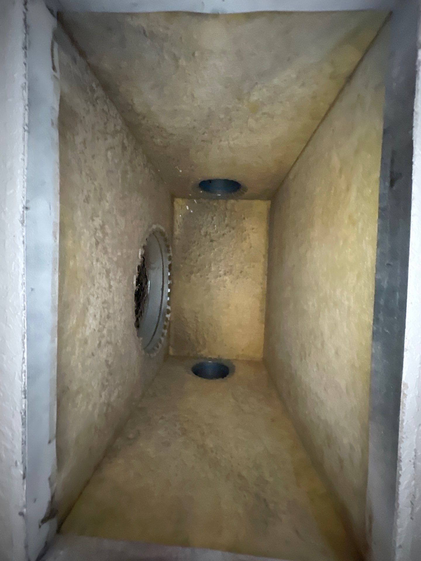 Air Duct & Air Handler Cleaning in Astatula by Hygienic Air, Inc