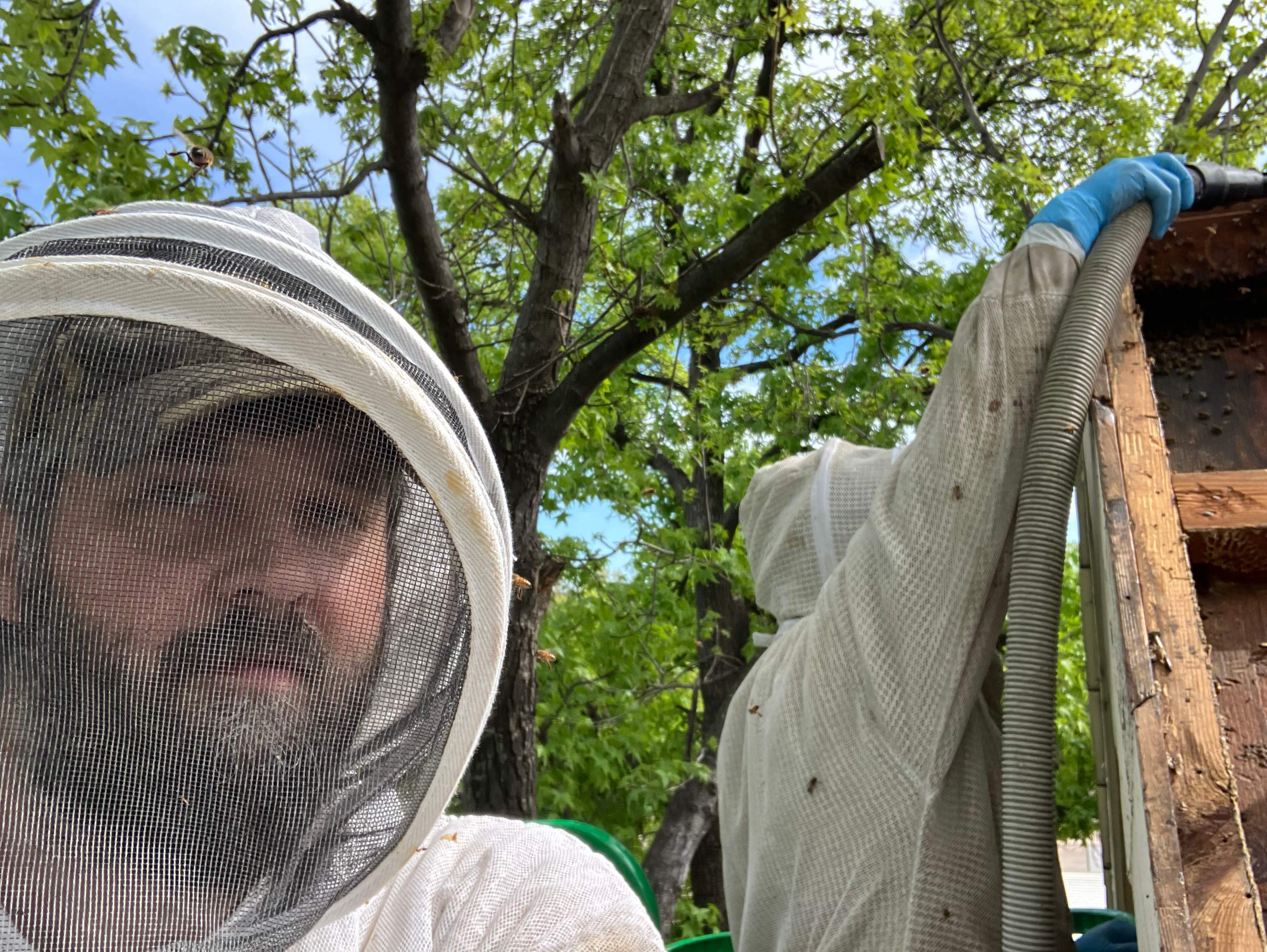 Commercial Roof by Rockwall Honey Bee Company