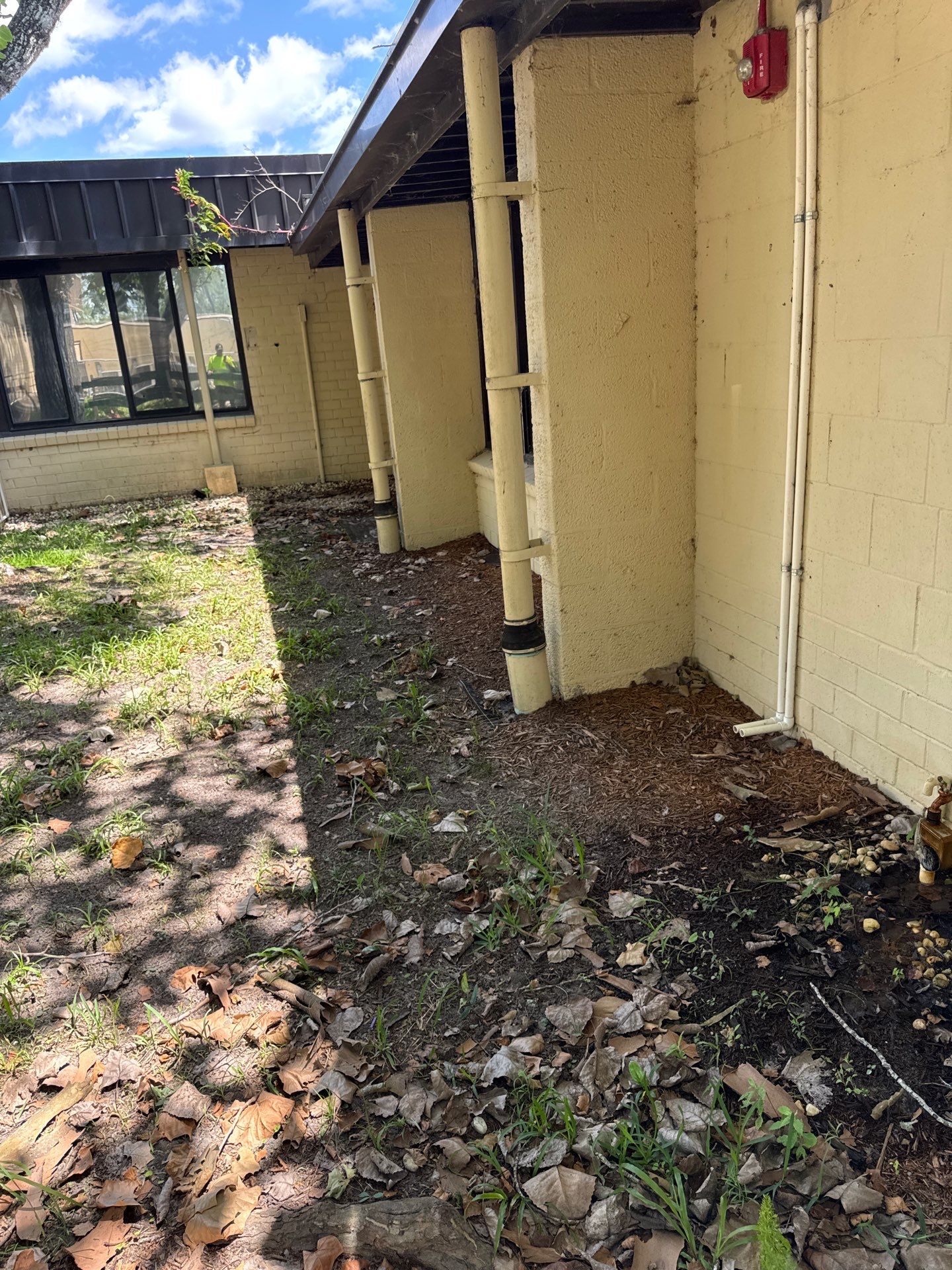 Green Cove Springs Junior High School | Landscape Refresh by ProGreen Services