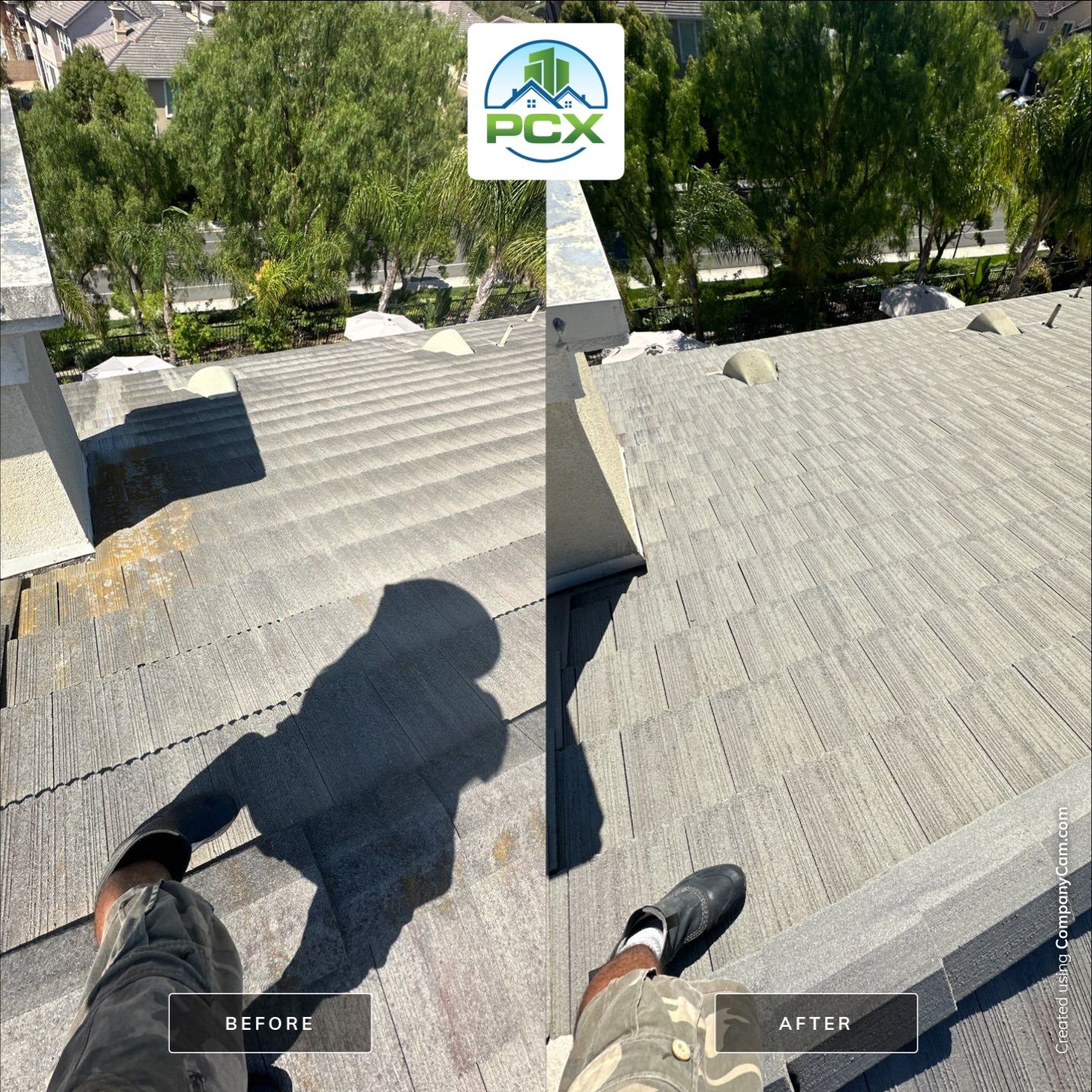Laguna Niguel Roof Washing for Insurance Renewal by Property Cleaning Experts, LLC