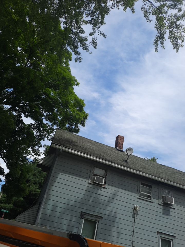 Tree Removal using Tree Removal by Mike Jones & Sons Tree Service LLC 