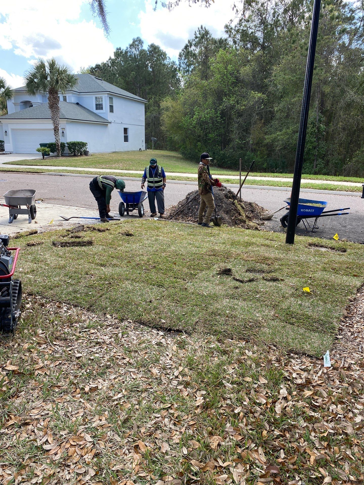 Residential | Sod Install by ProGreen Services