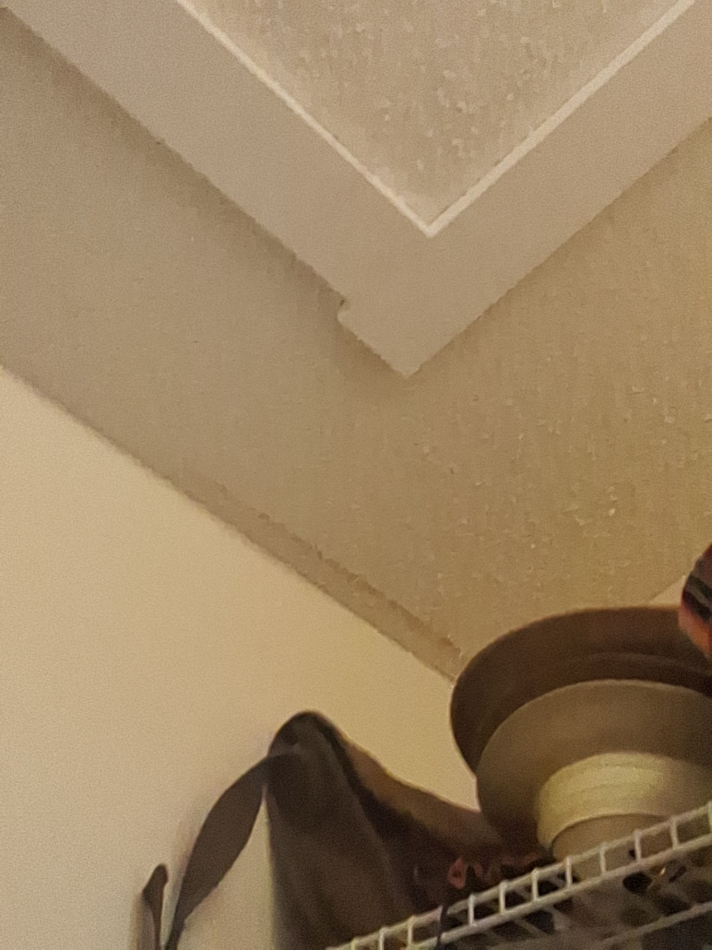 Water Damage Repair and Repaint!! by Gordon Painting