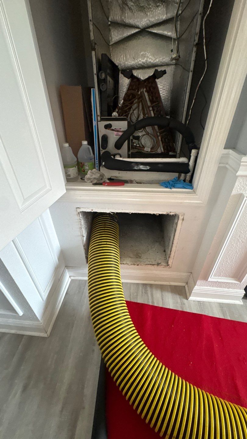 Air Duct and Dryer Vent Cleaning in Clermont by Hygienic Air, Inc