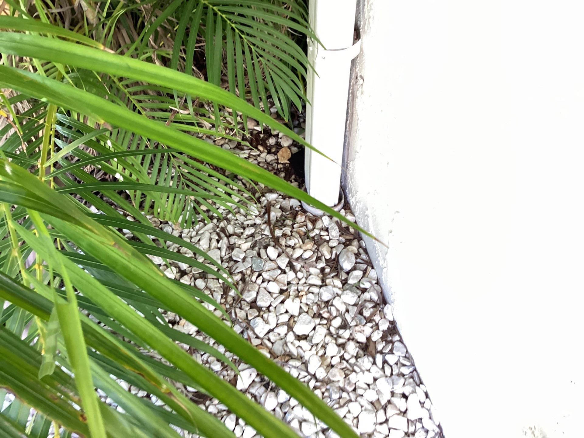 Vinyl Soffit and Fascia Refresh in St James City FL by Gutter Professors