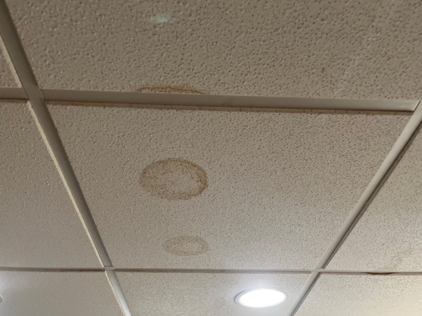 Mold Remediation in Louisville, KY by ANR Restoration