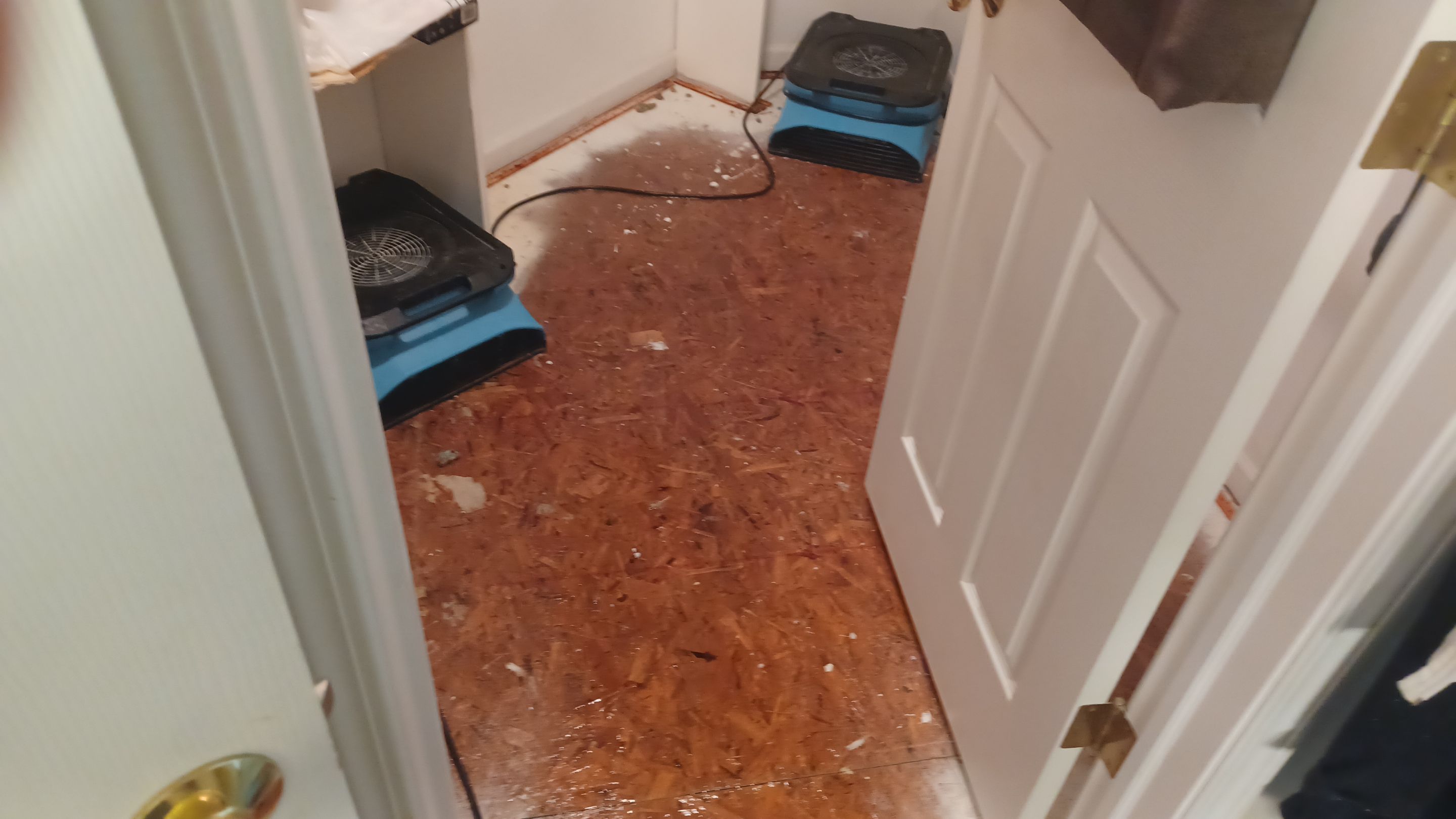 Project in Village of Clarkston by EzDry Water Mitigation & Property Restoration