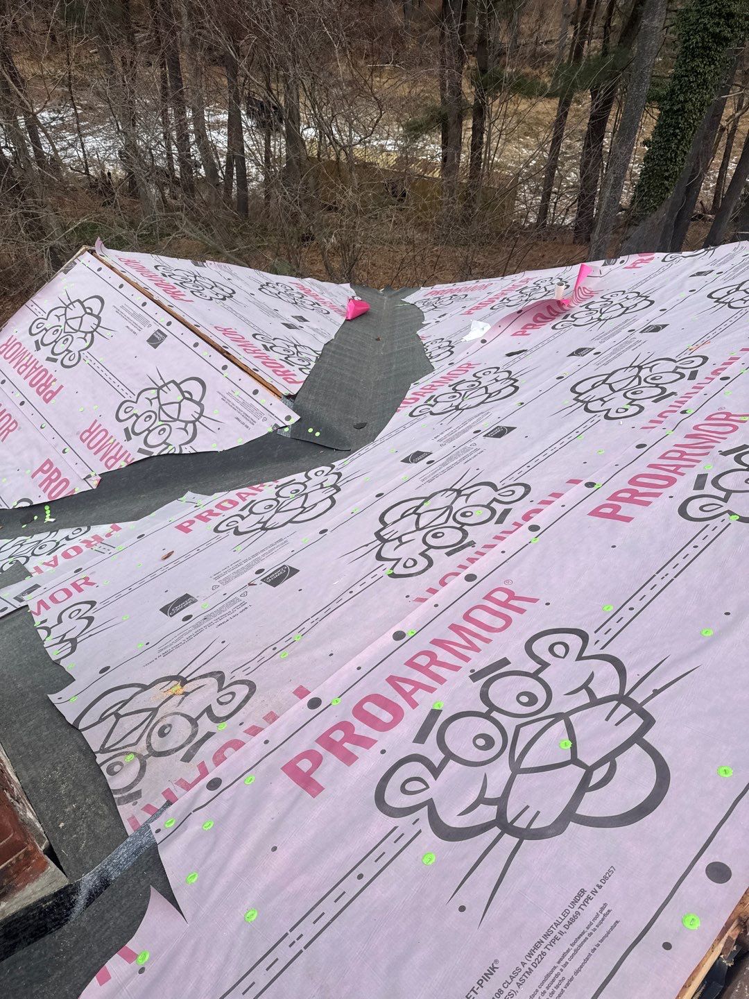 Project in Reisterstown by Elvis General Construction LLC