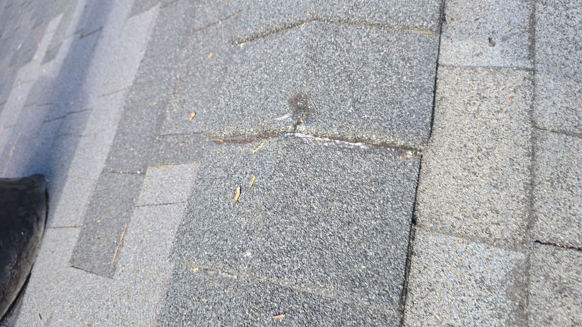 Roof Rejuvenation using Roof Maxx Treatment by Roof Maxx of Folsom