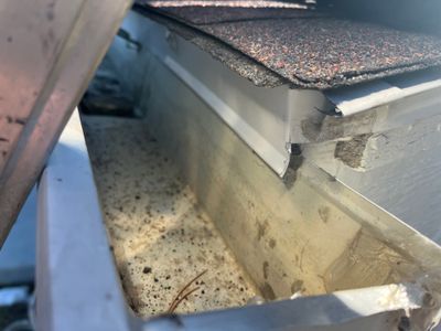 Project in Elizabeth