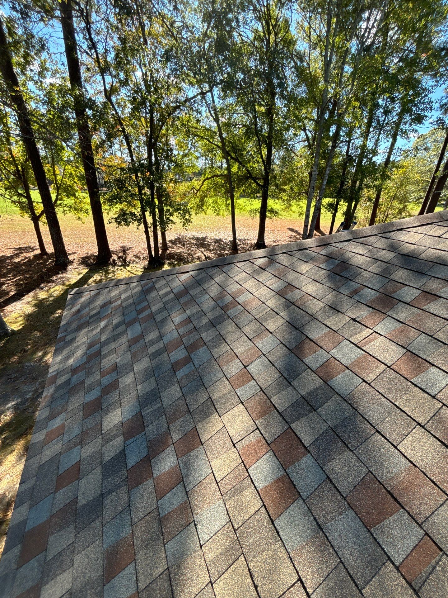 GAF HDZ - Golden Harvest by Linta Roofing