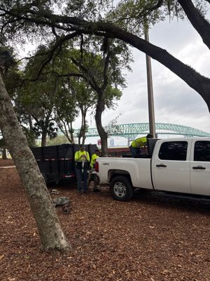 Episcopal School of Jacksonville | Tree Service