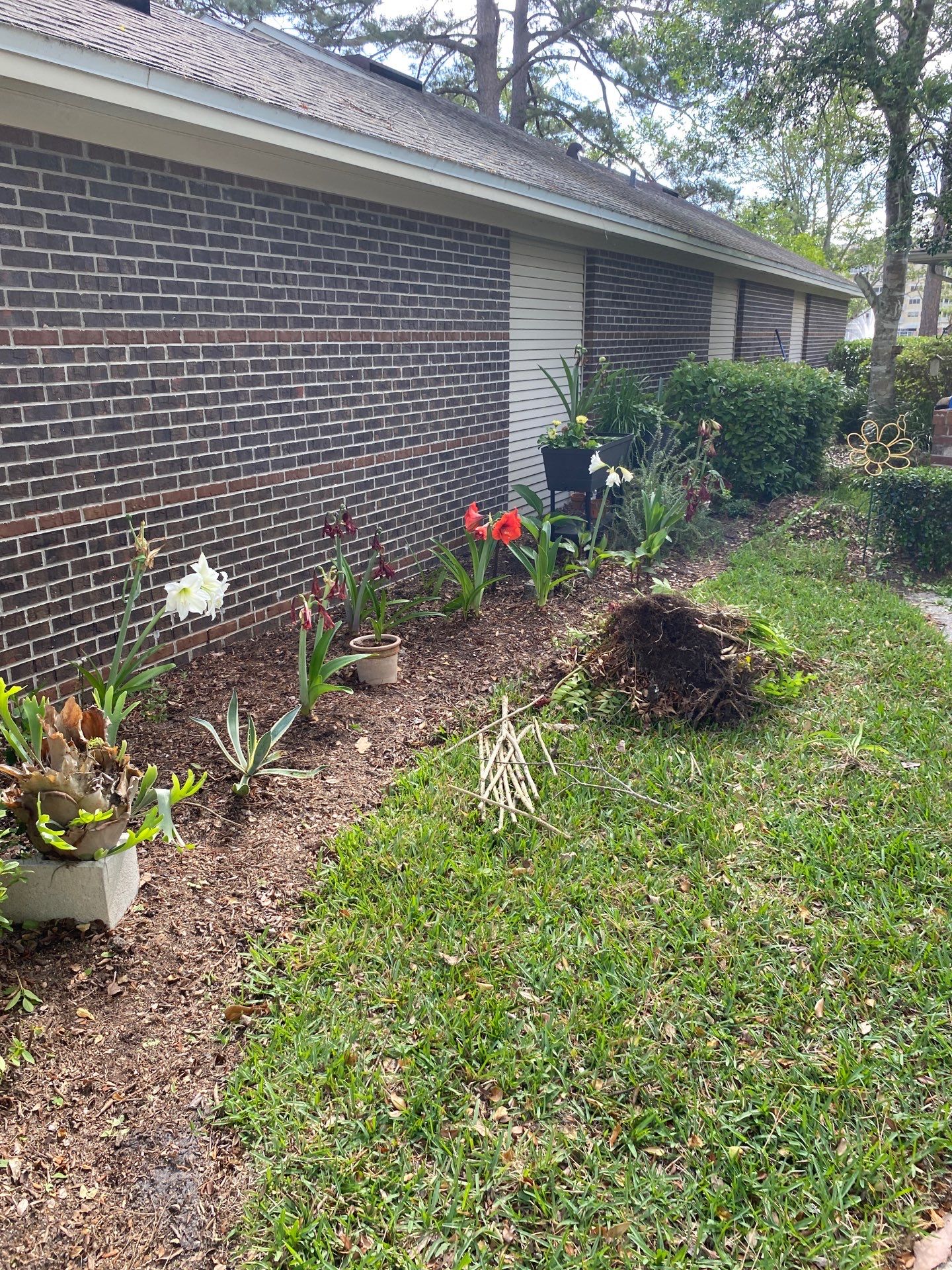 Residential | Volunteer Clean-Up by ProGreen Services