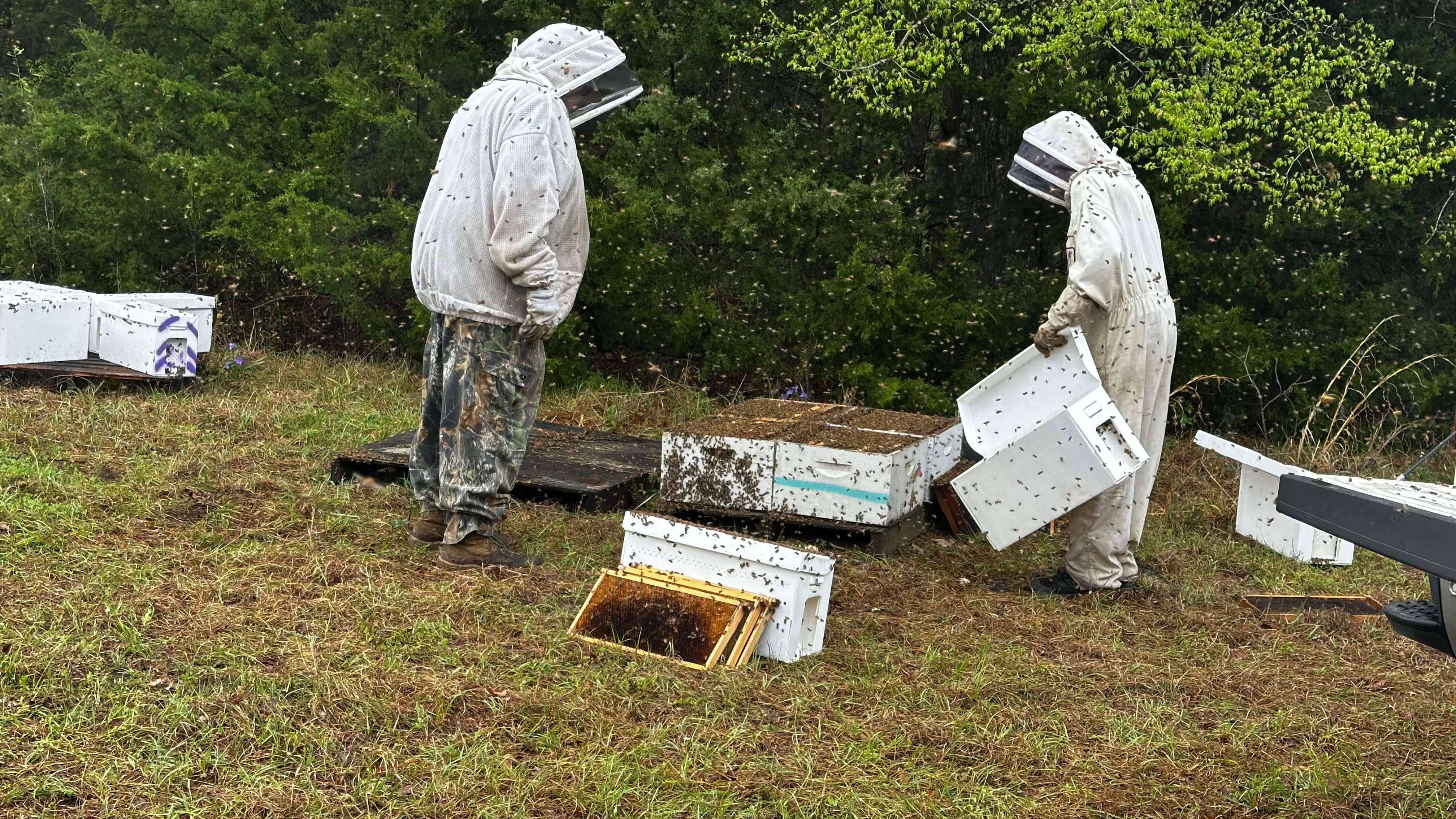 BeeGirl ETX HQ by Rockwall Honey Bee Company