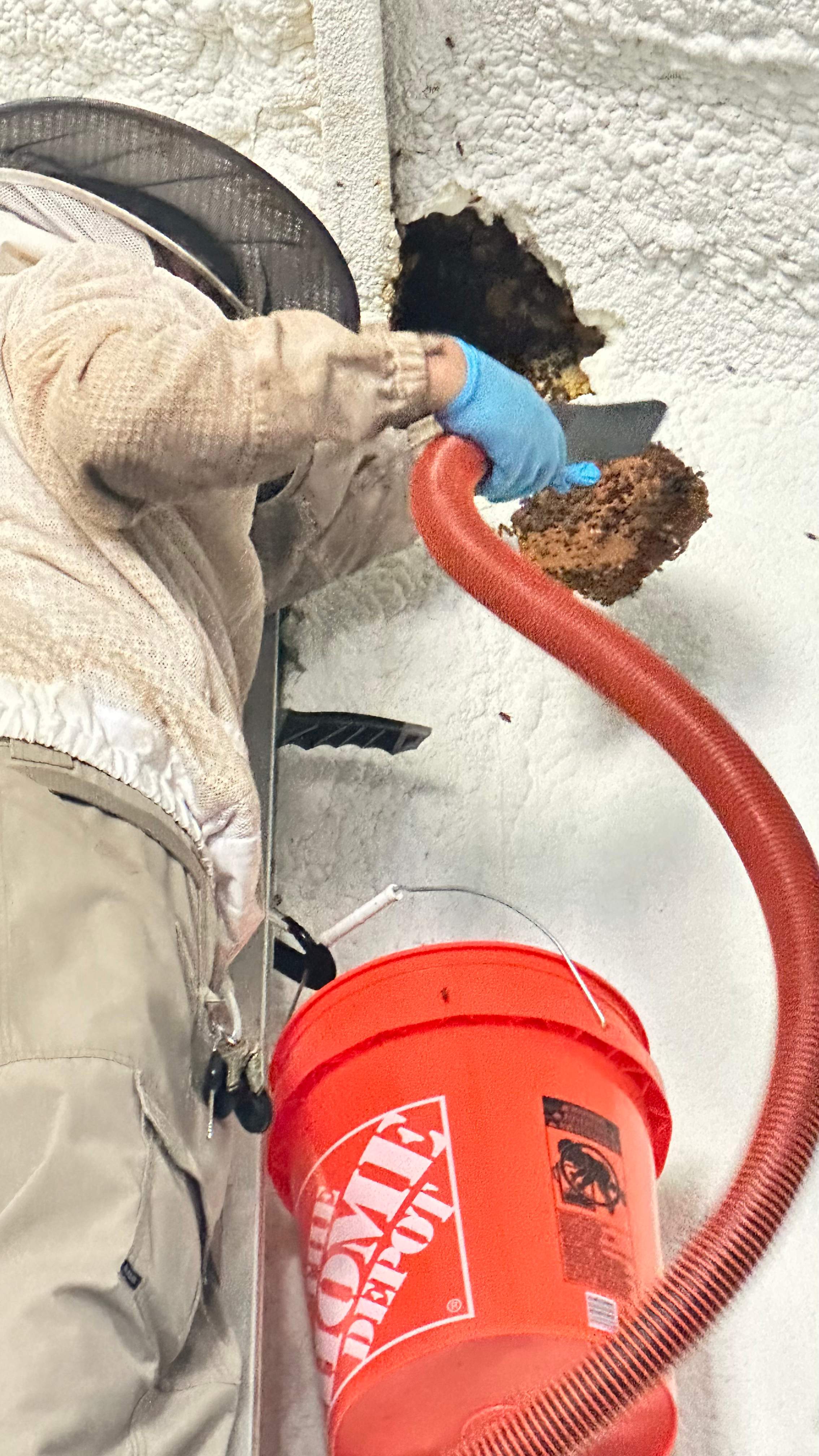 Art Gallery by Rockwall Honey Bee Company