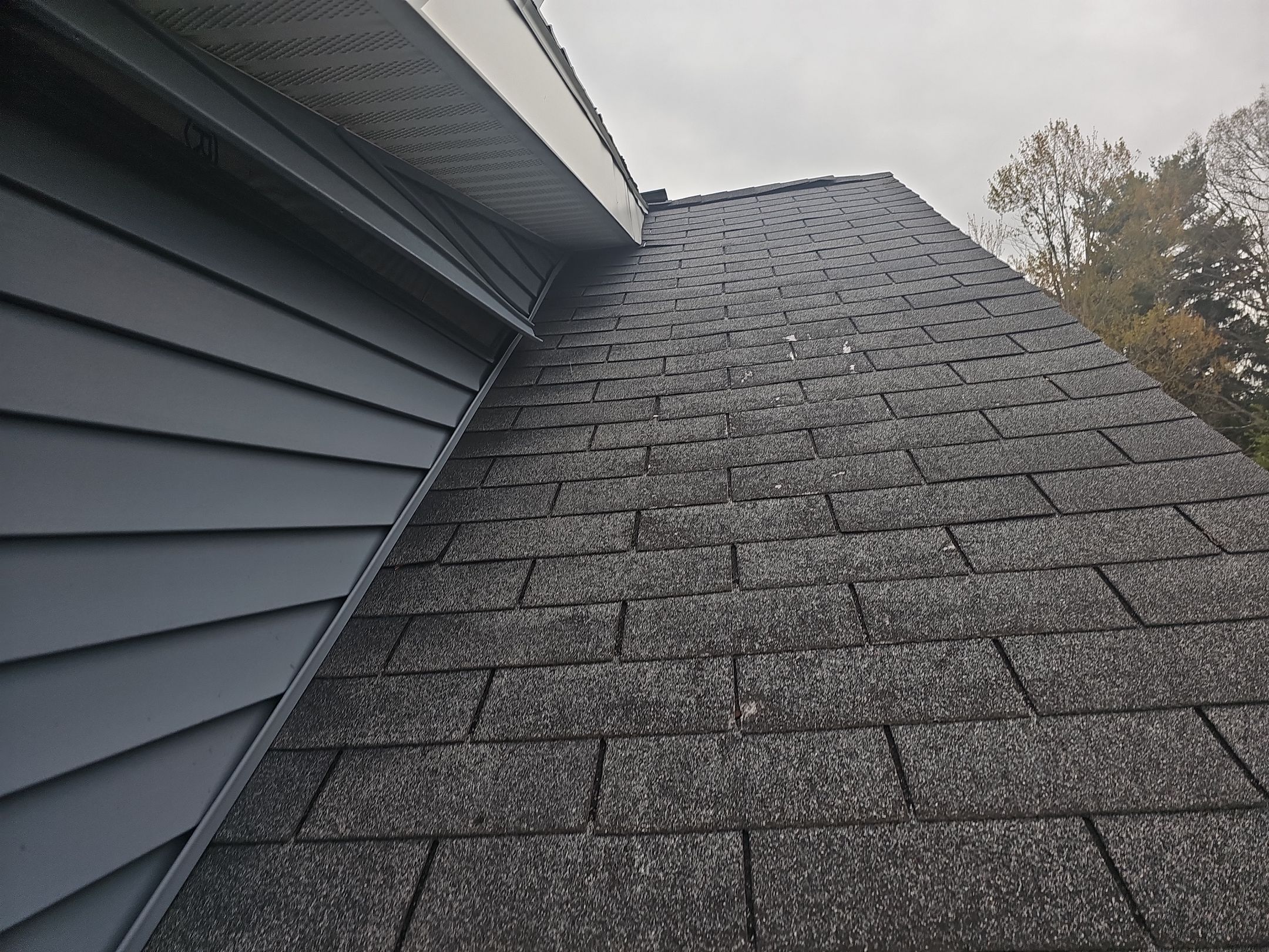 ATLAS PINNACLE COLOR: PRISTINE BLACK by Eagle Eye Roofing