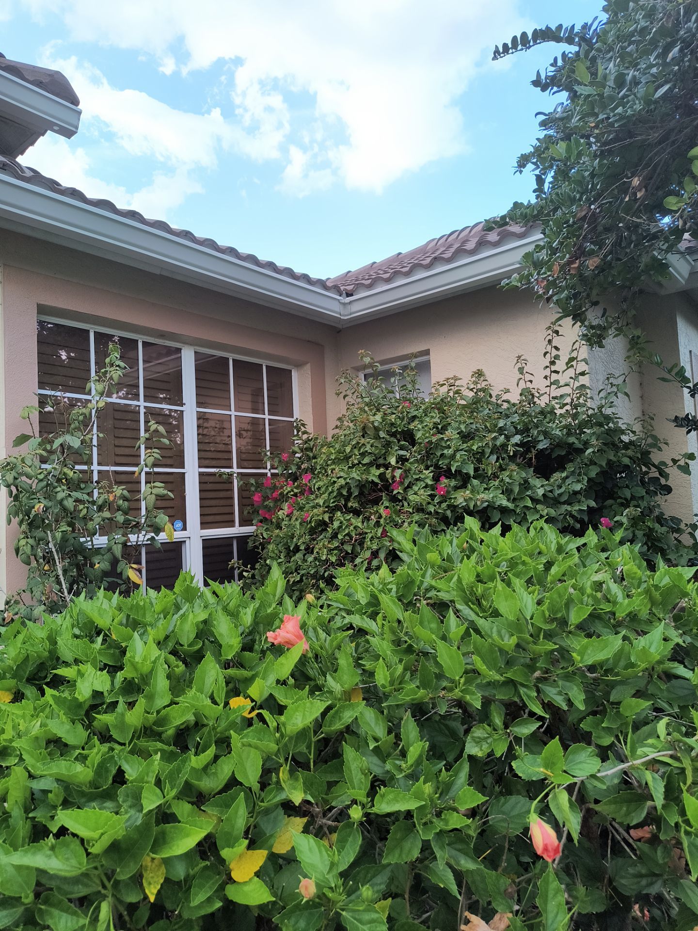 7 inch seamless gutters using K-Style Seamless Gutters in Sarasota FL by Gutter Professors