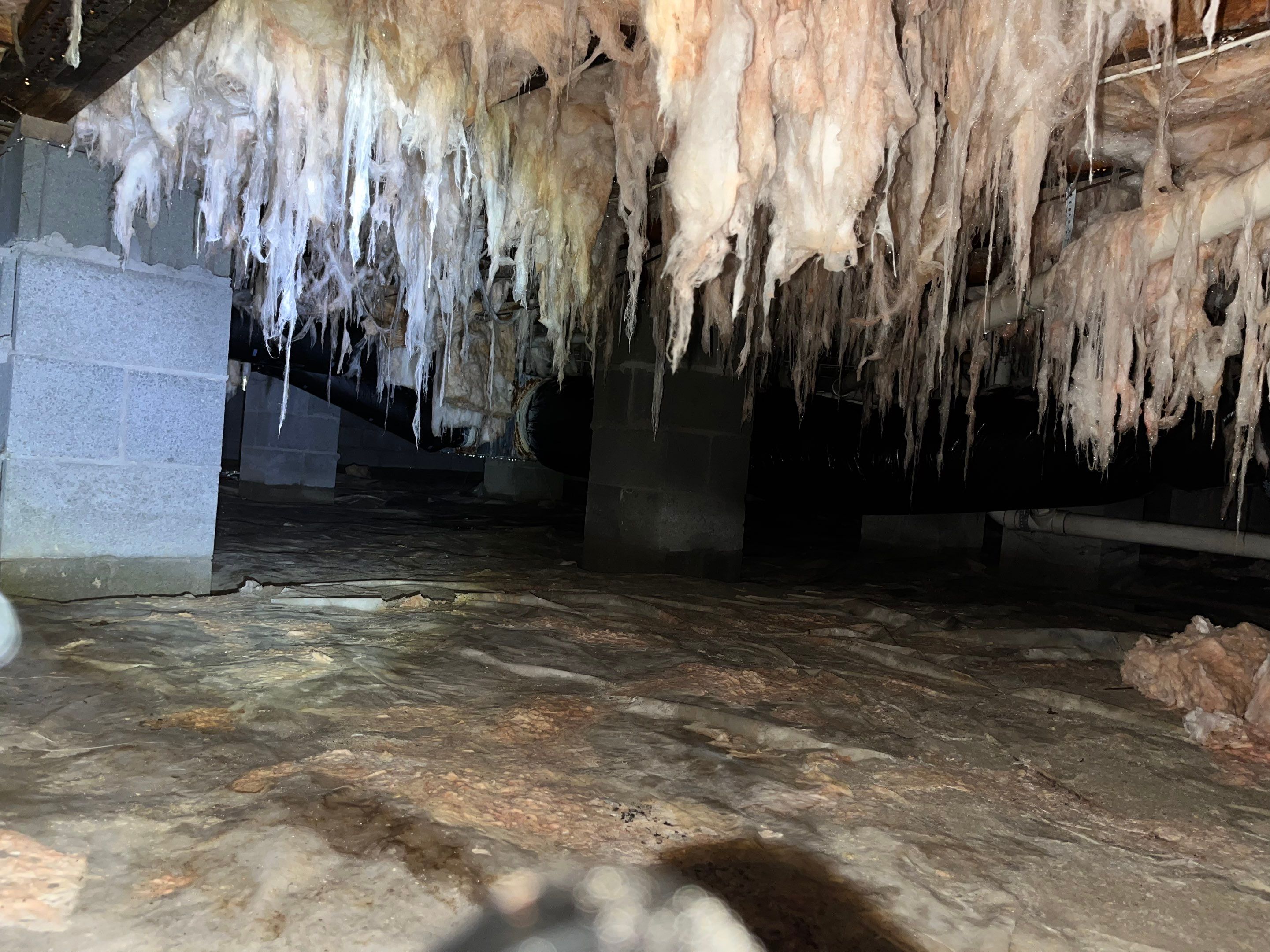Premium Encapsulation with Bora-Foam using Bora-Foam Insulation by Impact Crawlspace