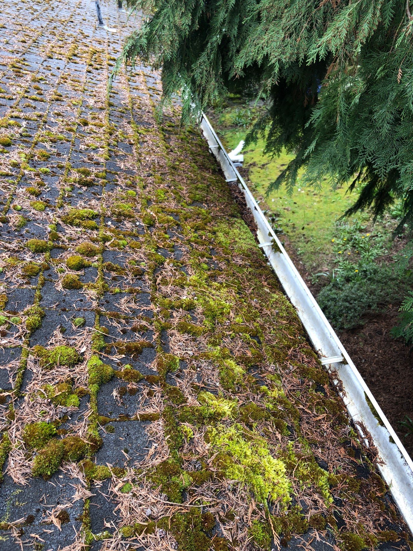 Project in Seattle by Peaks and Valleys Construction