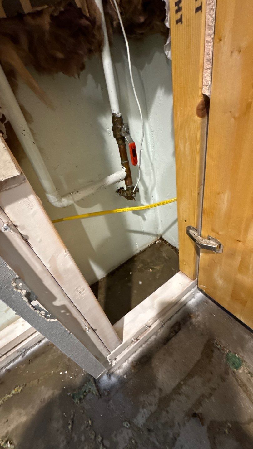 Mold Project in Thornton by Accountable Home Services