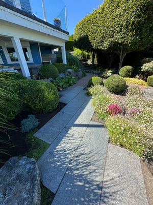 Patio Edge Stabilization & Romex Upgrade