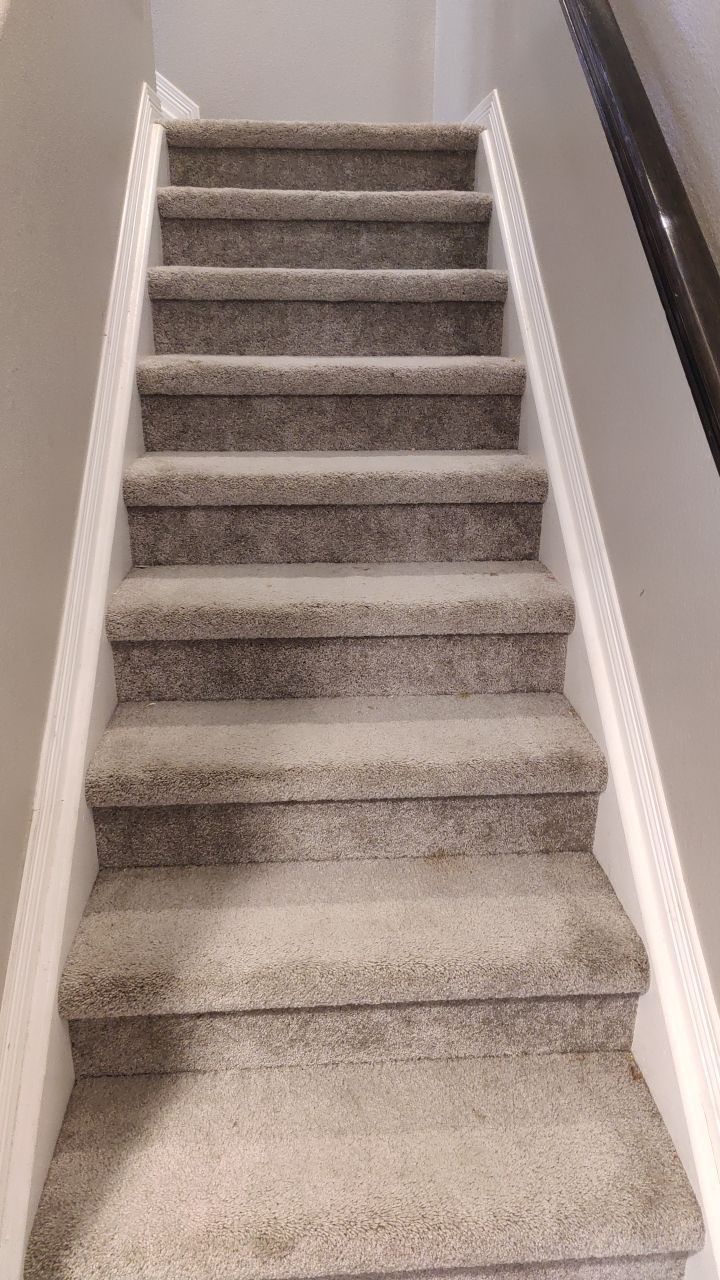 Mold Remediation  by Accountable Home Services