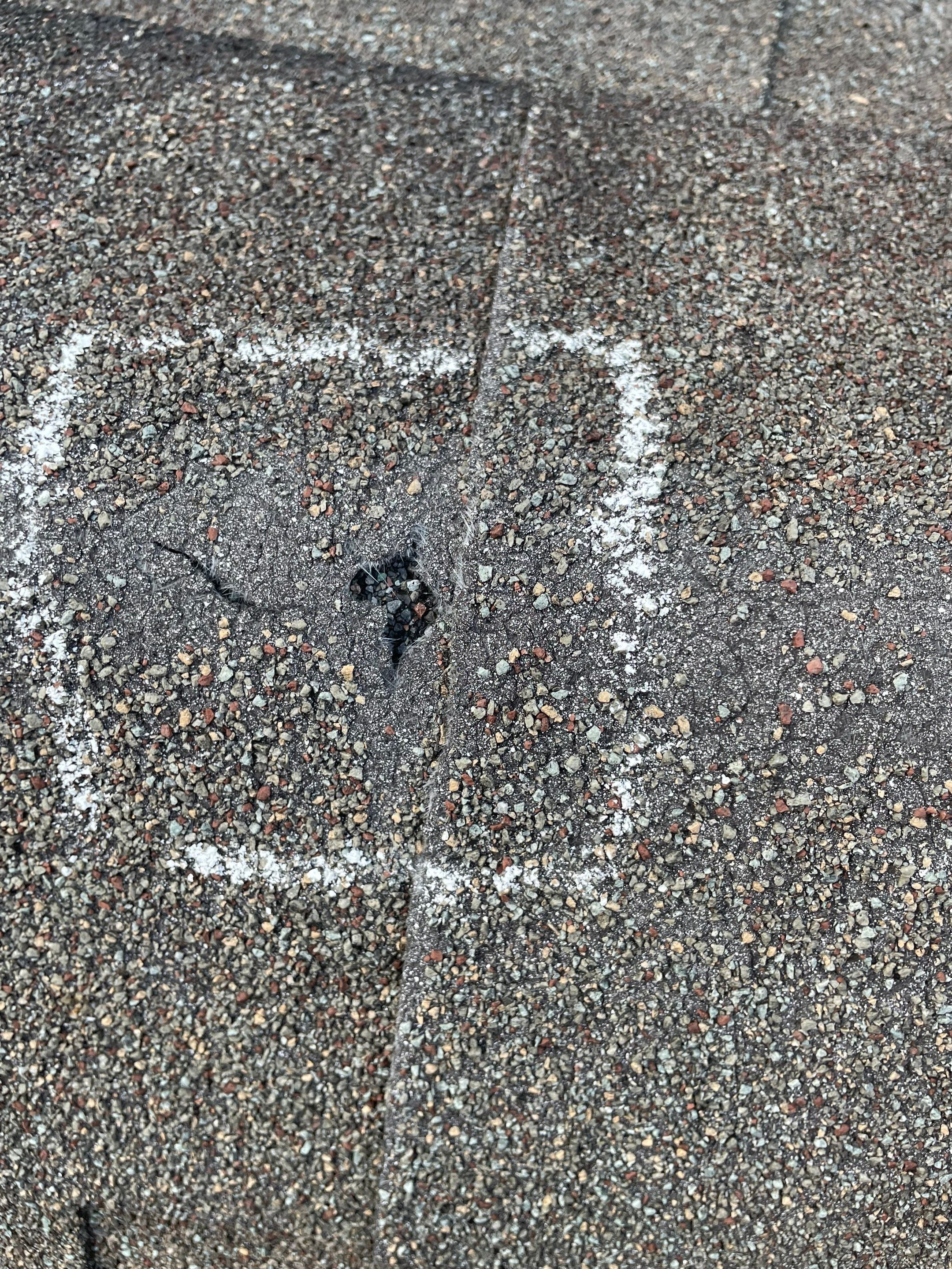 commercial pressure washing using Algaecide, soft wash soap by Northern Power Washing LLC.