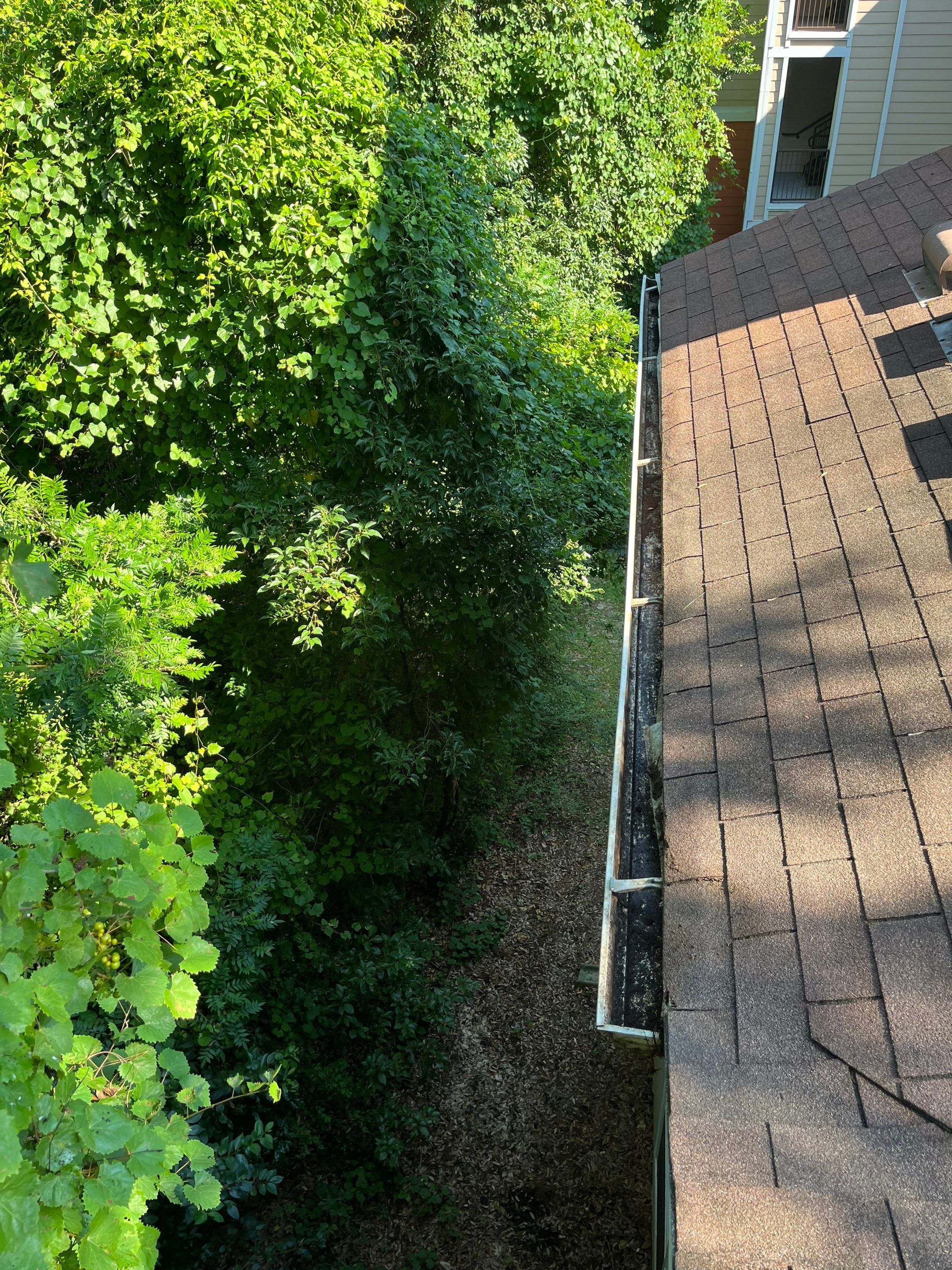 Commercial gutter cleaning Tallahassee, FL after photo with clean gutters