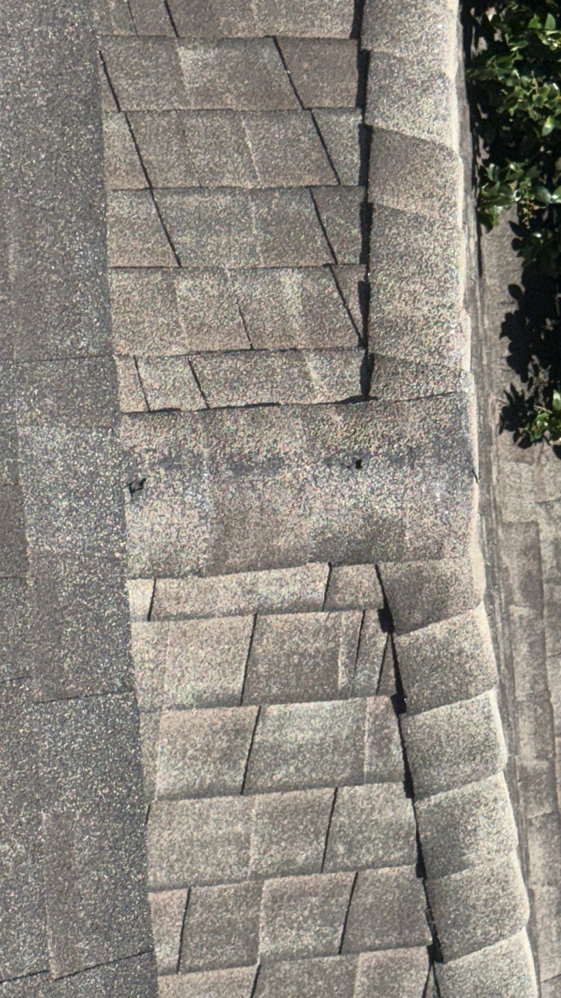 Roof Repair Spring by Roof Repair Company