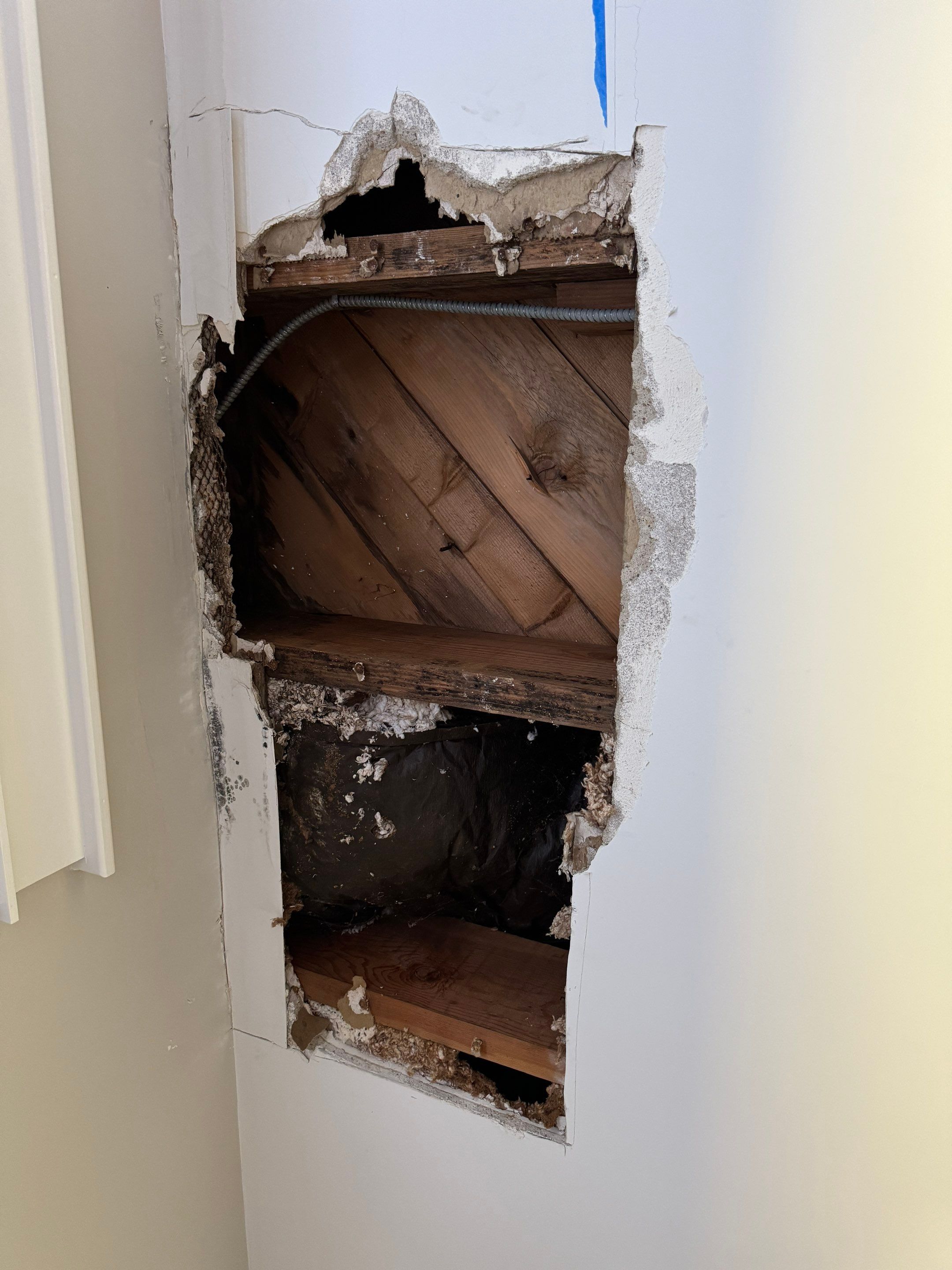 Bedroom Mold Remediation by Home Guarantee, LLC