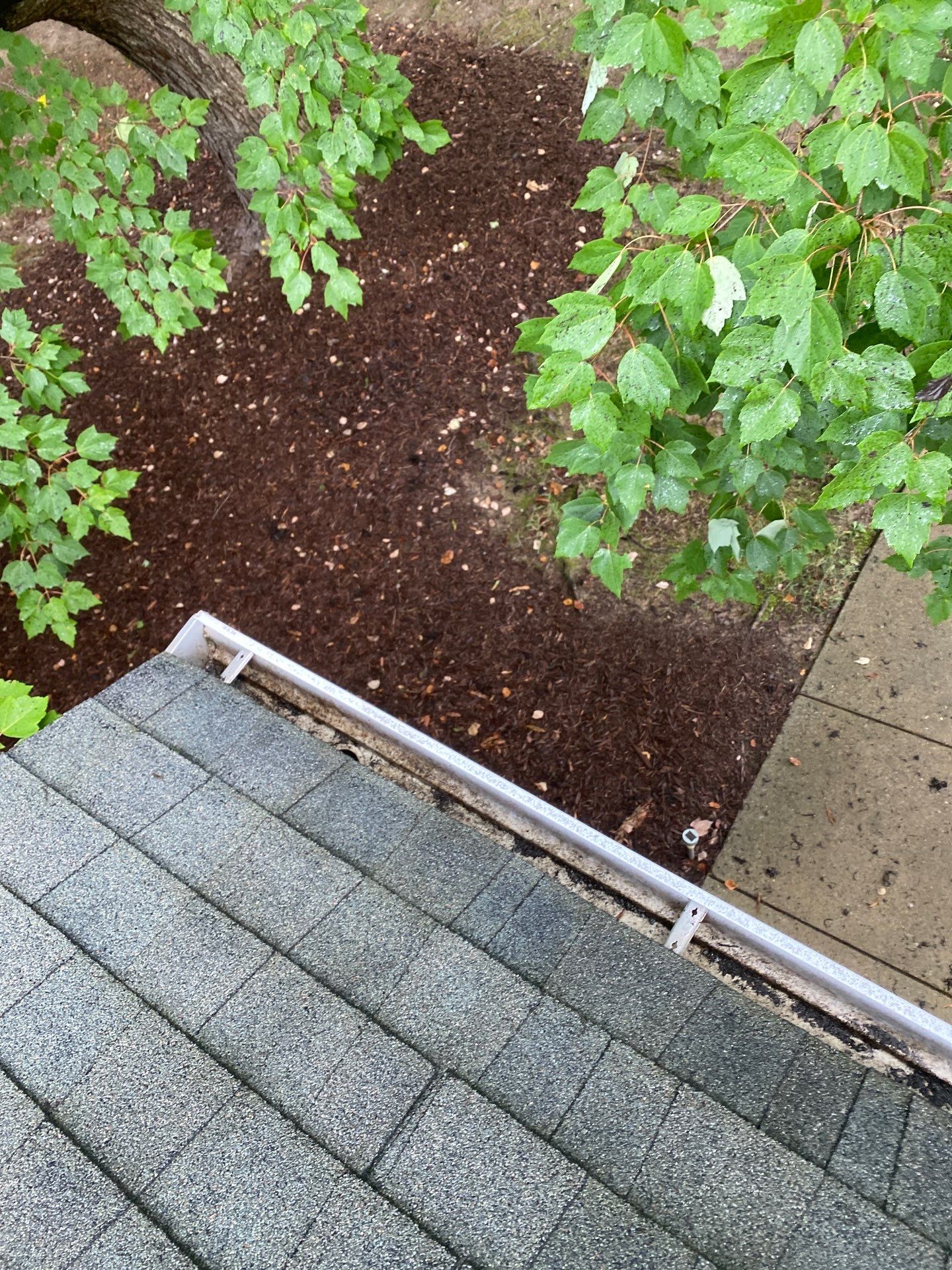 HOA gutter cleaning in Fuquay-Varina & Holly Springs, NC after  photo showing full gutters.
