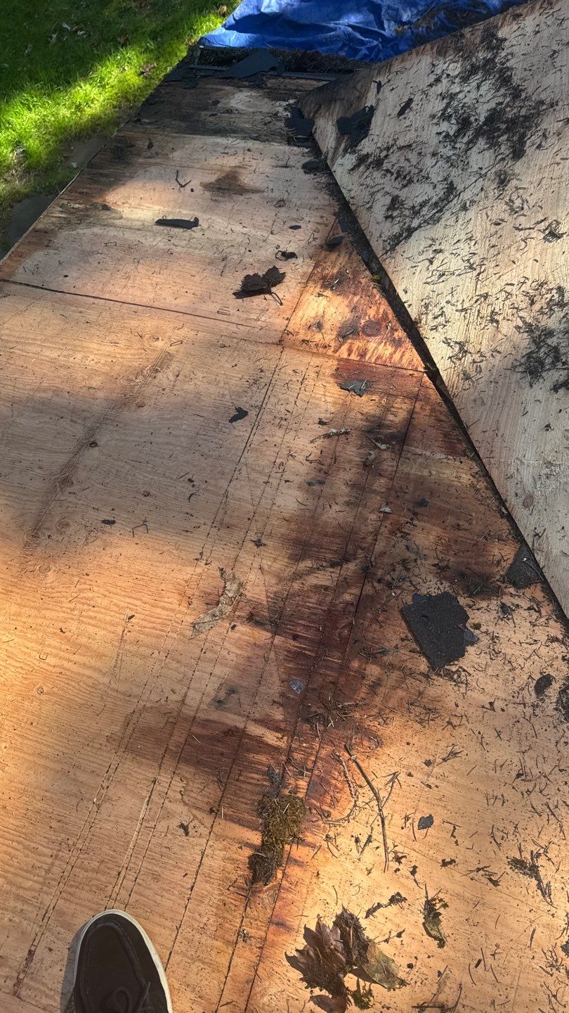 Project in Sammamish by Roofing Formula LLC