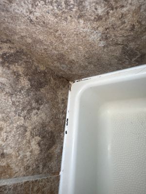 Project in Westminster