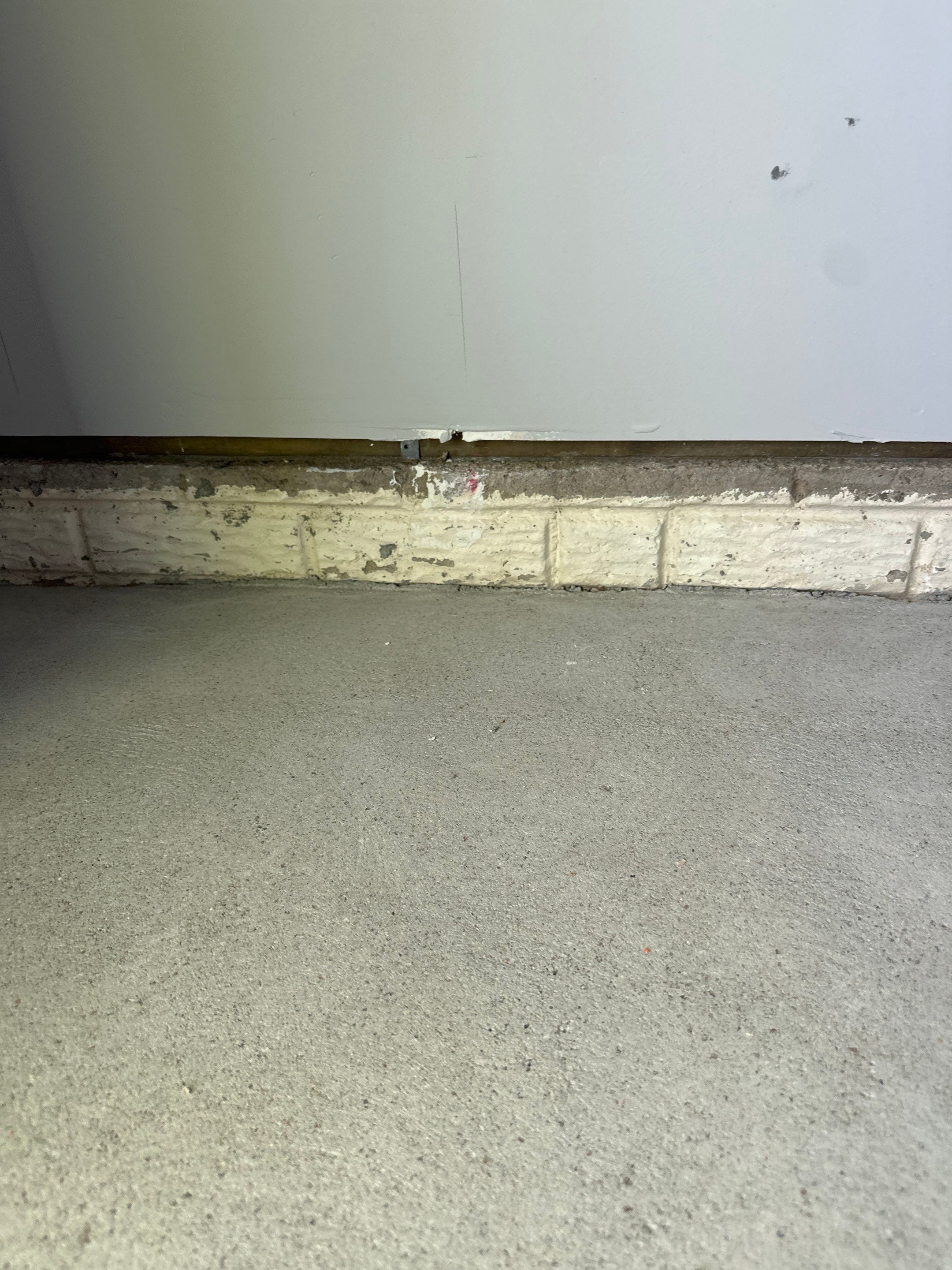 Custom Flake Epoxy Garage Floor in Lincoln by Goat Coatings
