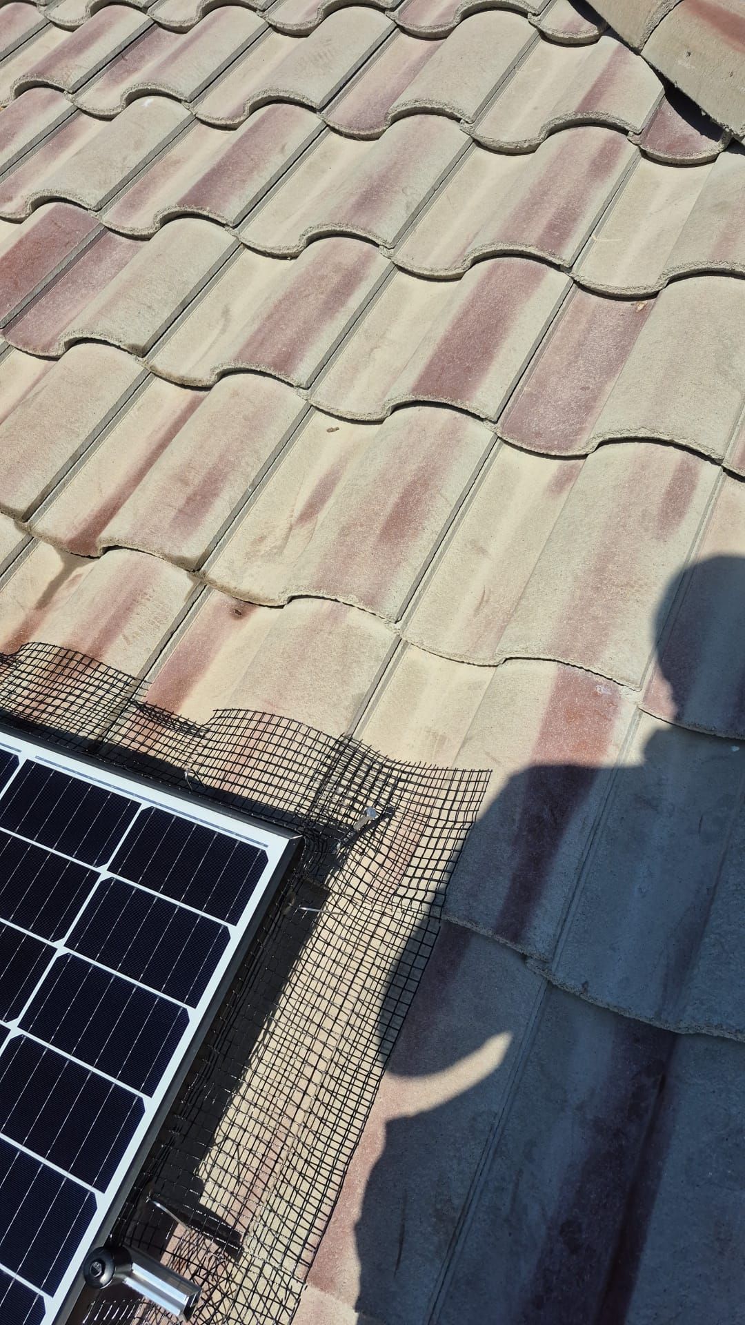 Single story netting. by Solar Honest Cleaning 